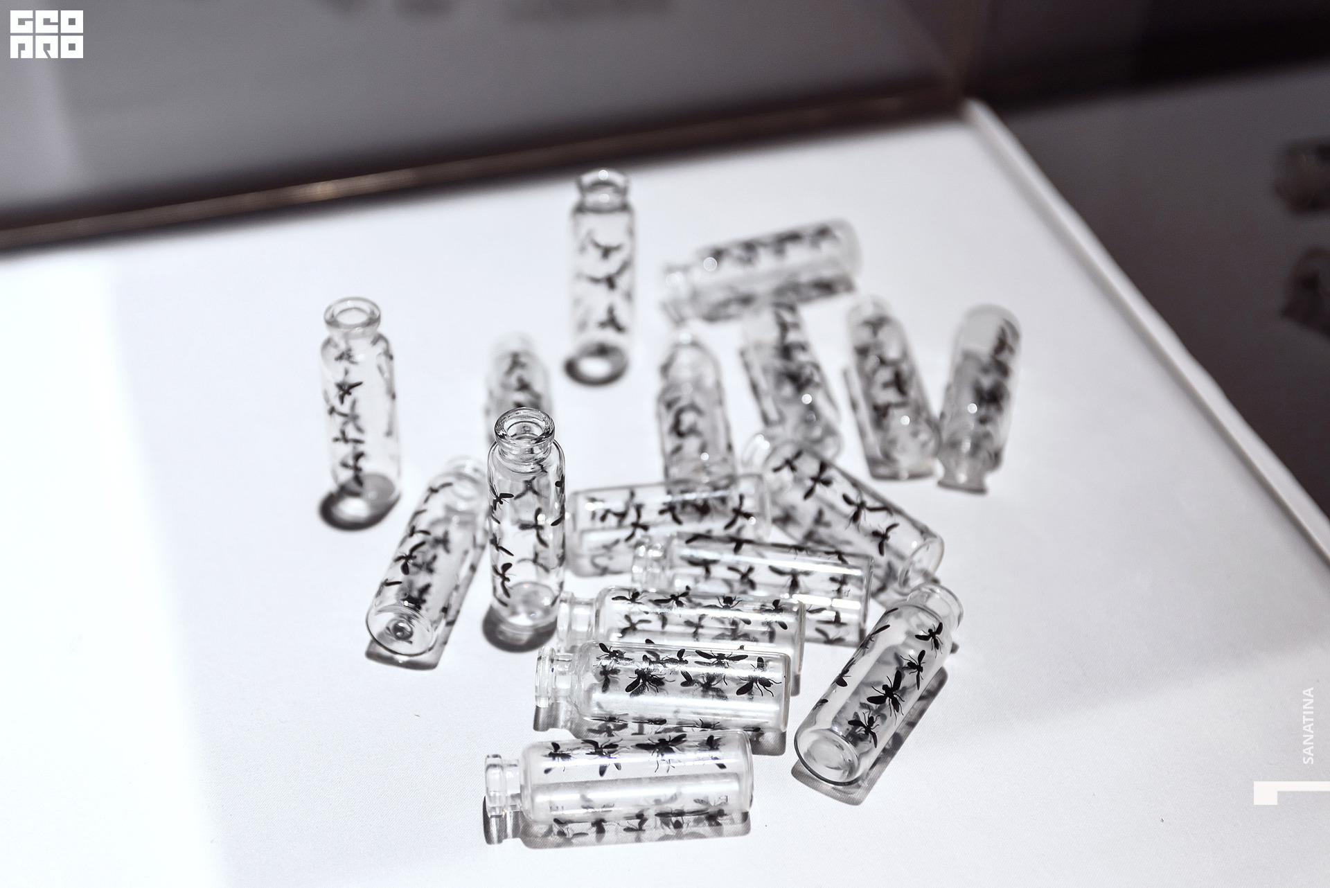 0011_2021-01-28_18-29-28 - Sanatina.jpg