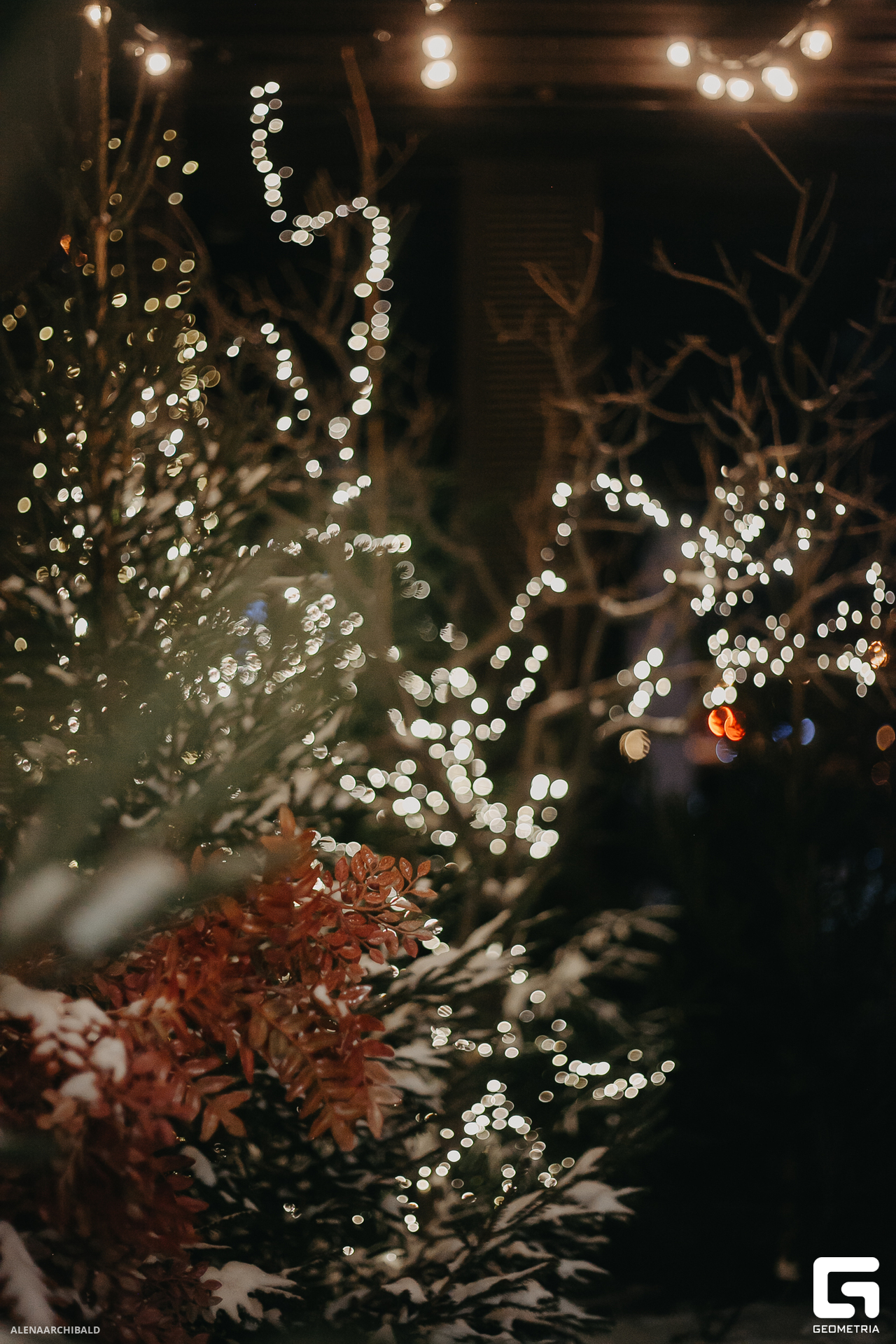 2023-11-24 22-00-46_alenaarchibald067.JPG