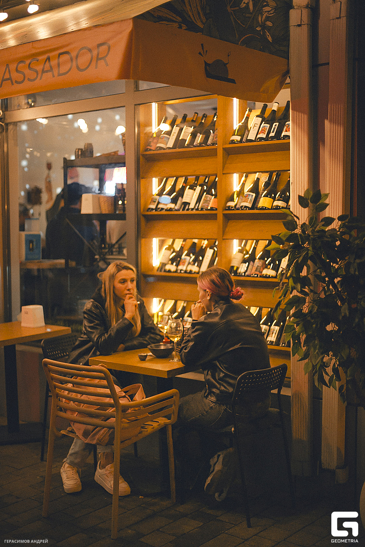 049 Свиристели 17. 02.jpg