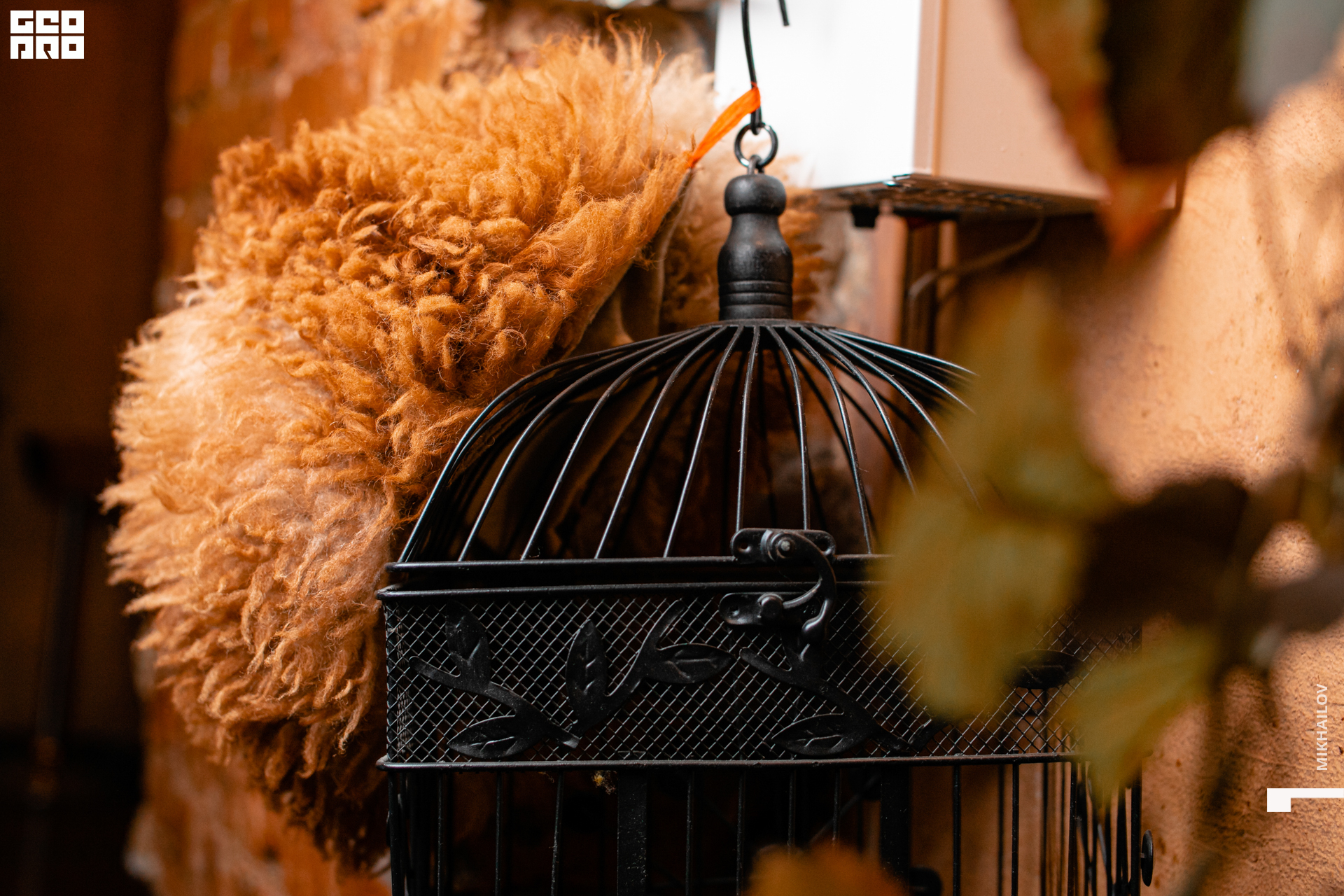 036-18-12-2020-17-37-18.12.20 -  ХС - Михайлов - 1920.jpg