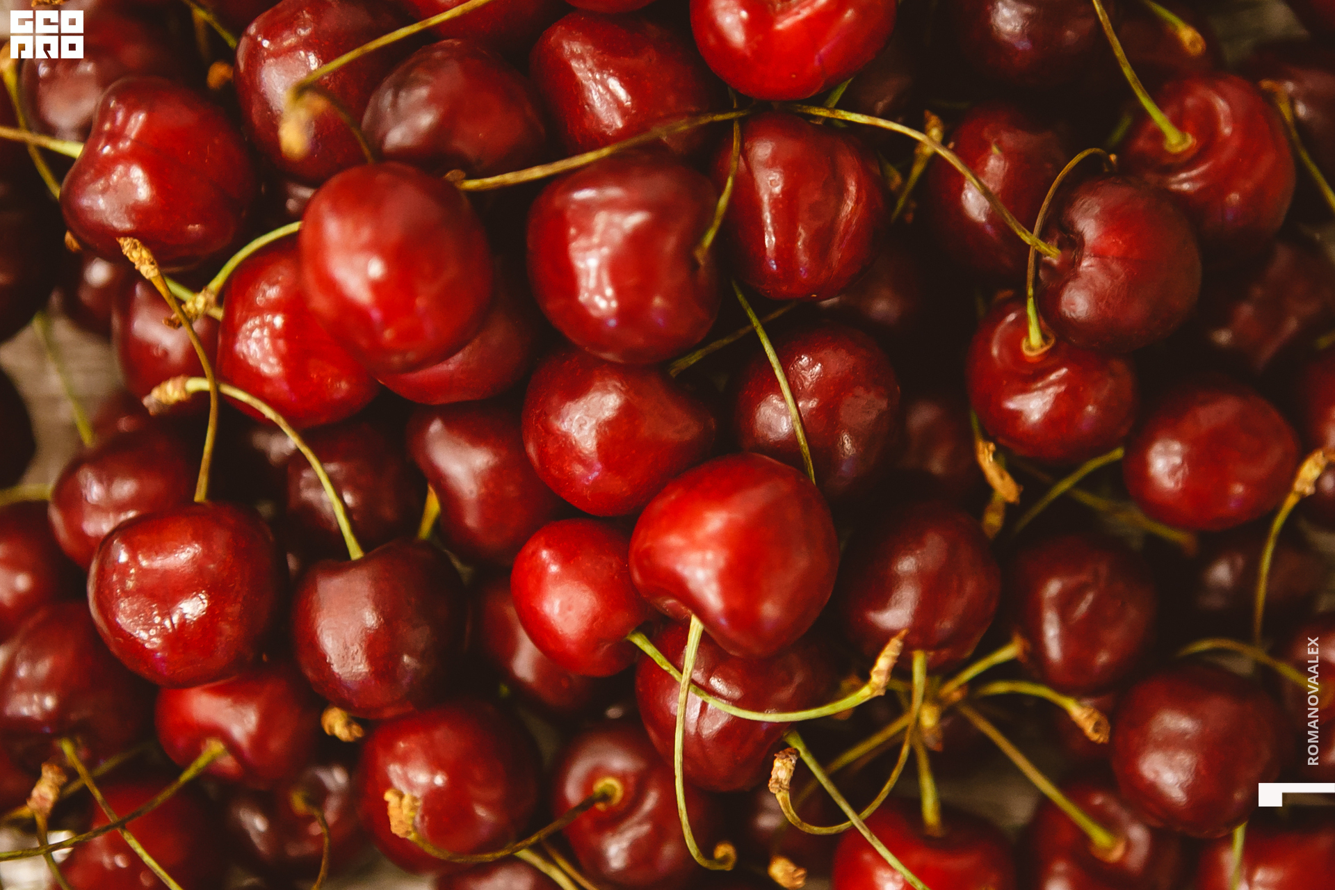 015 210615  201727 _romanovaalex.jpg