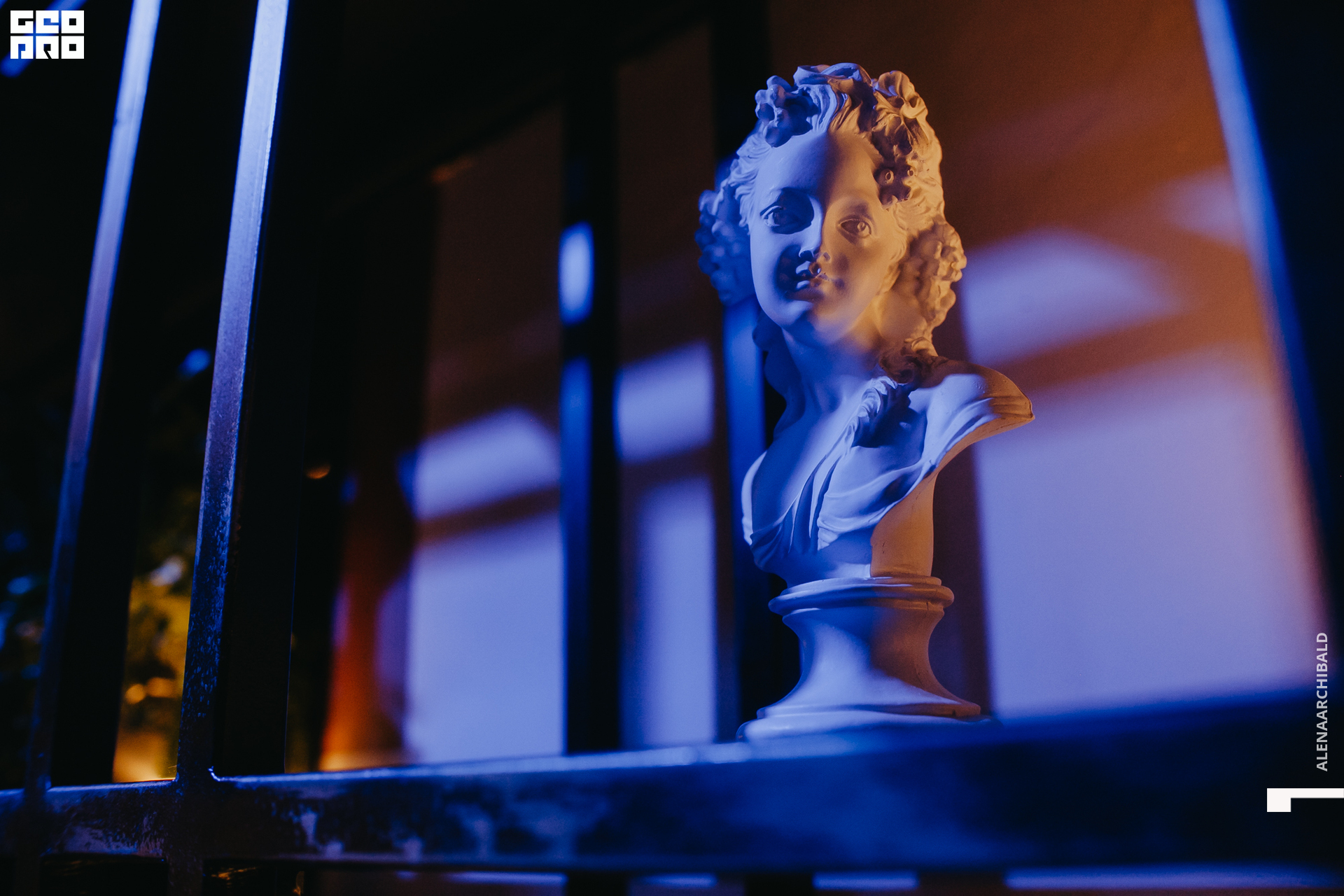 2022-11-18 20-00-27_alenaarchibald009.JPG