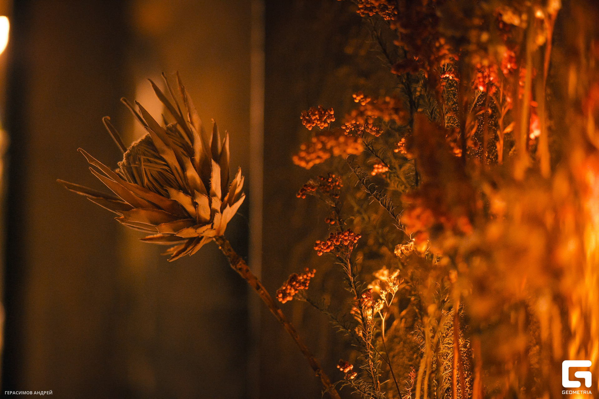 083 Bloom bar 1. 12.jpg