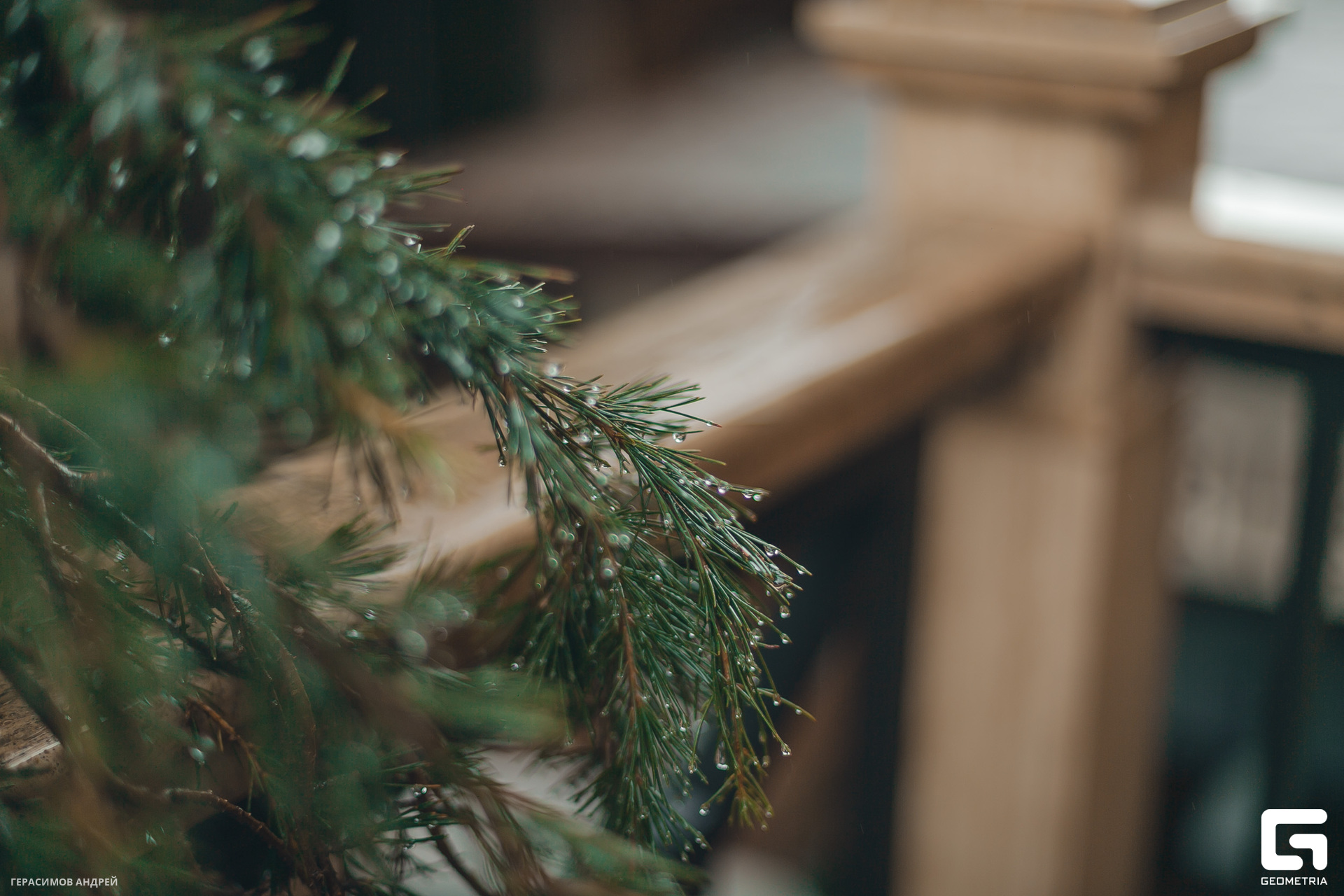 001 4. 02 Променад.jpg