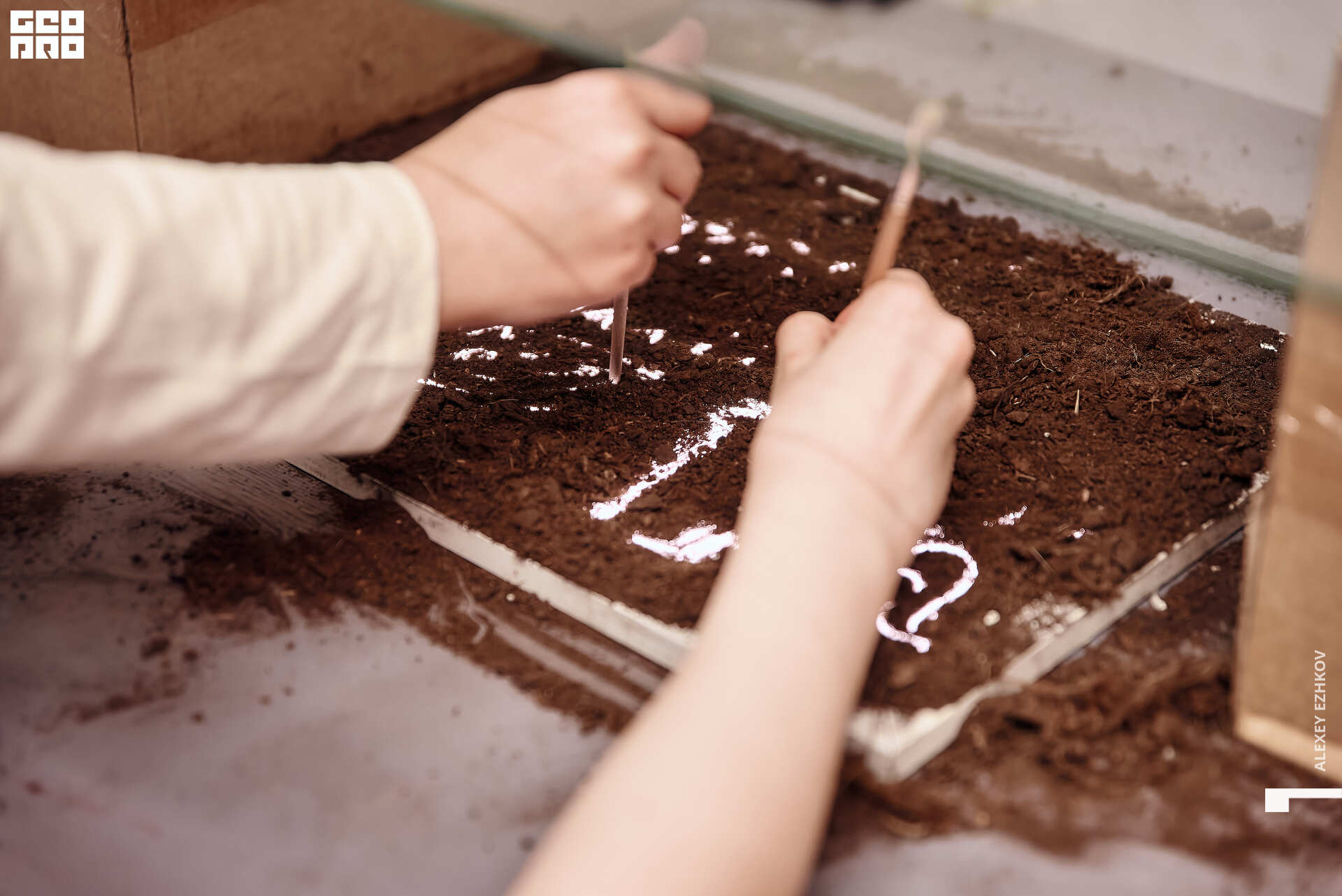 Арсенал 83.jpg