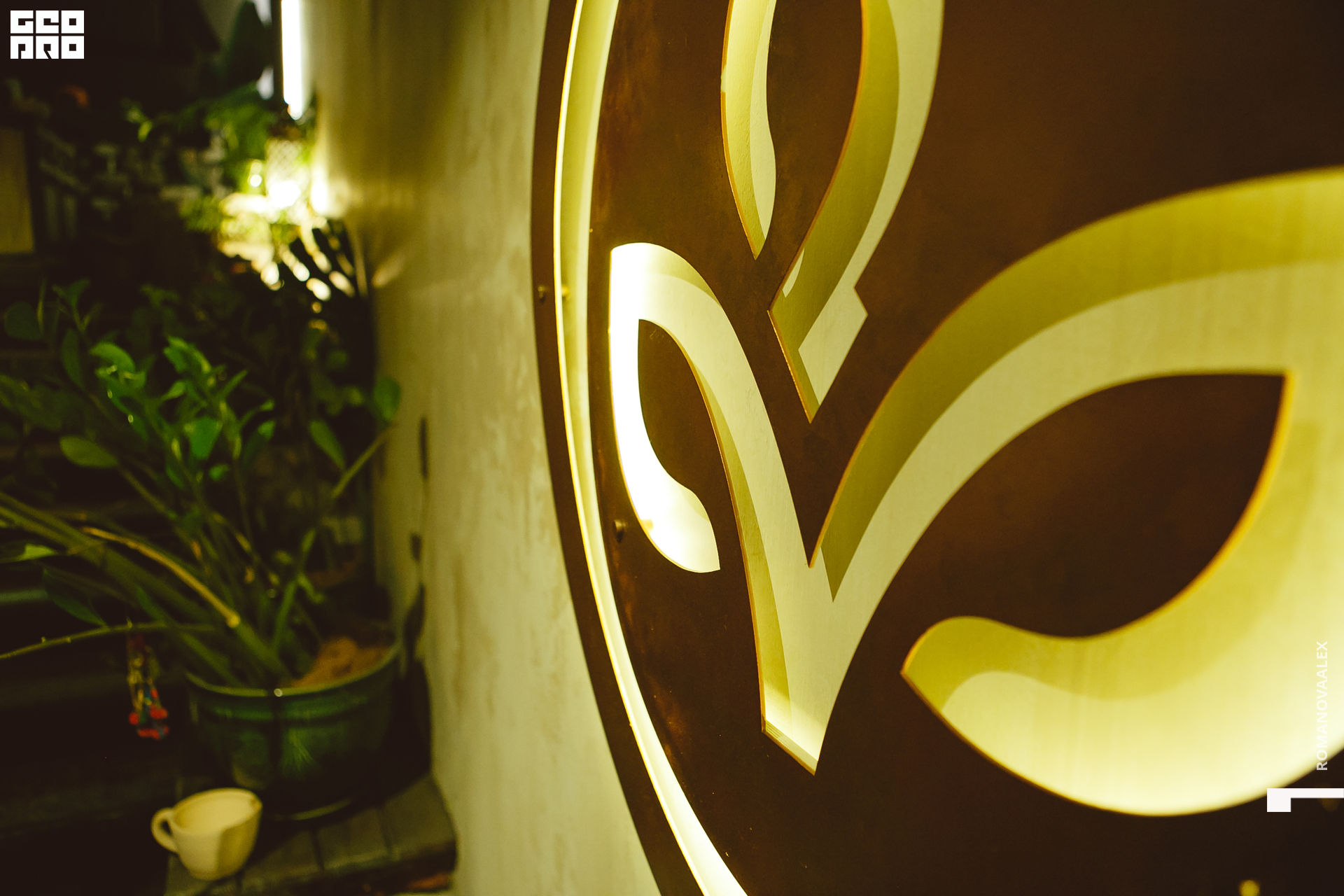 073 080322 220424 .jpg