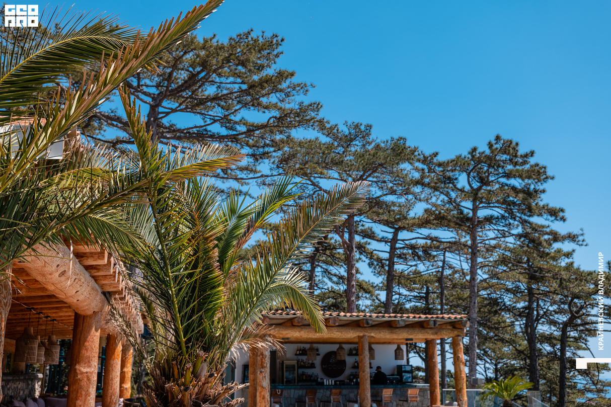 POOL PARTY in MODUS 24