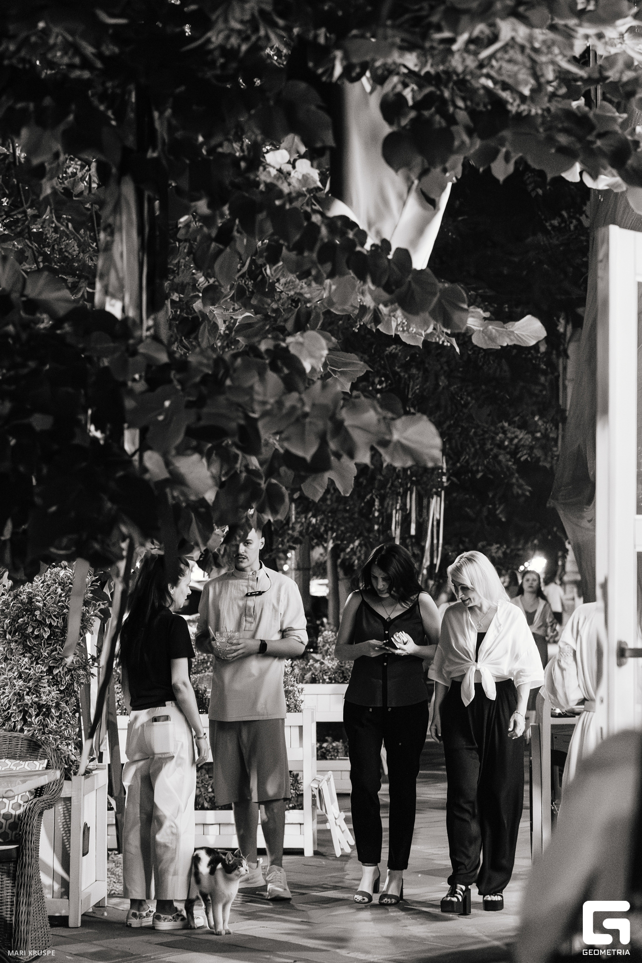 MARI9644-Улучшено-Ум. шума.jpg