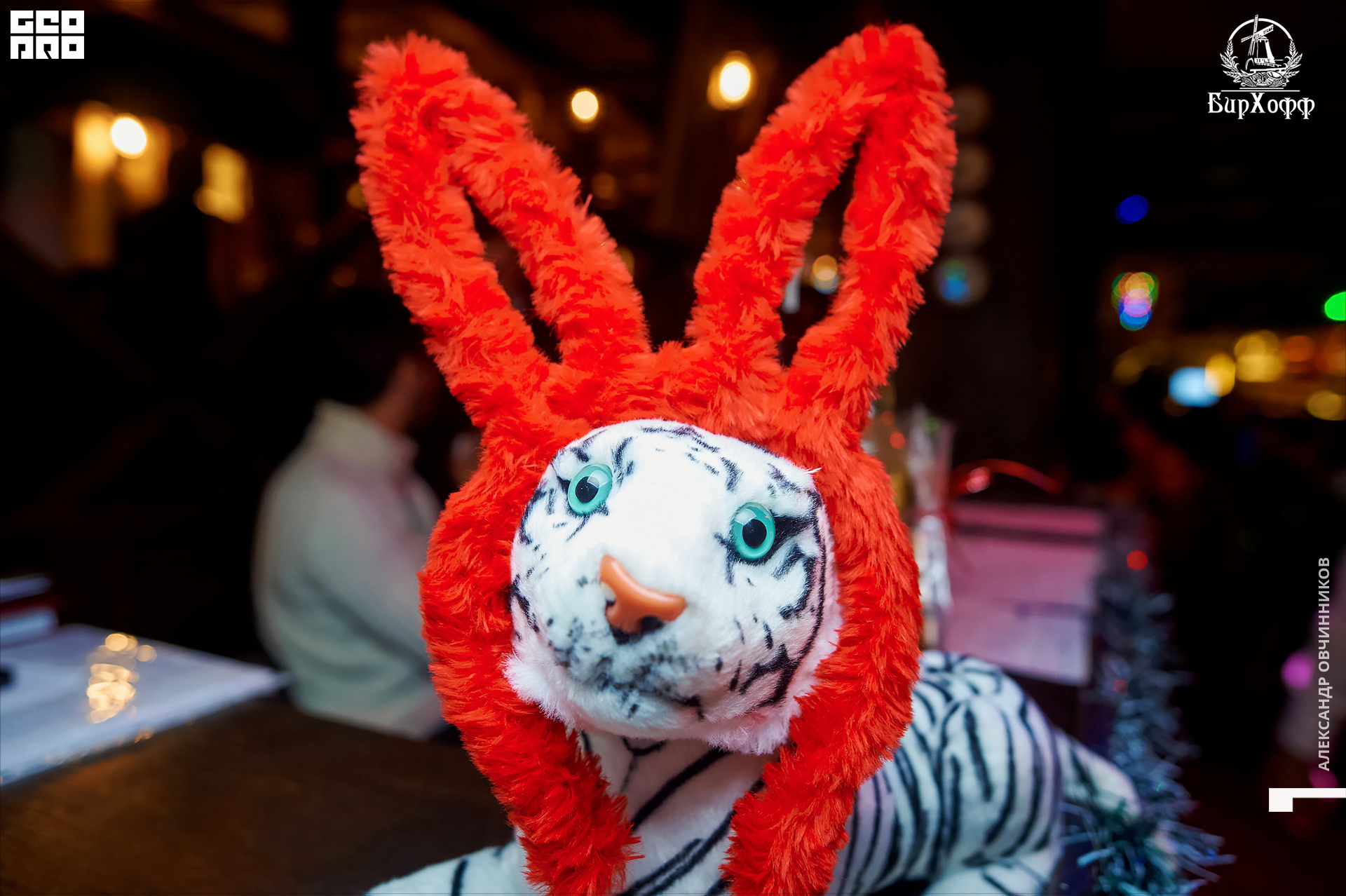 Фото 036 копия.jpg