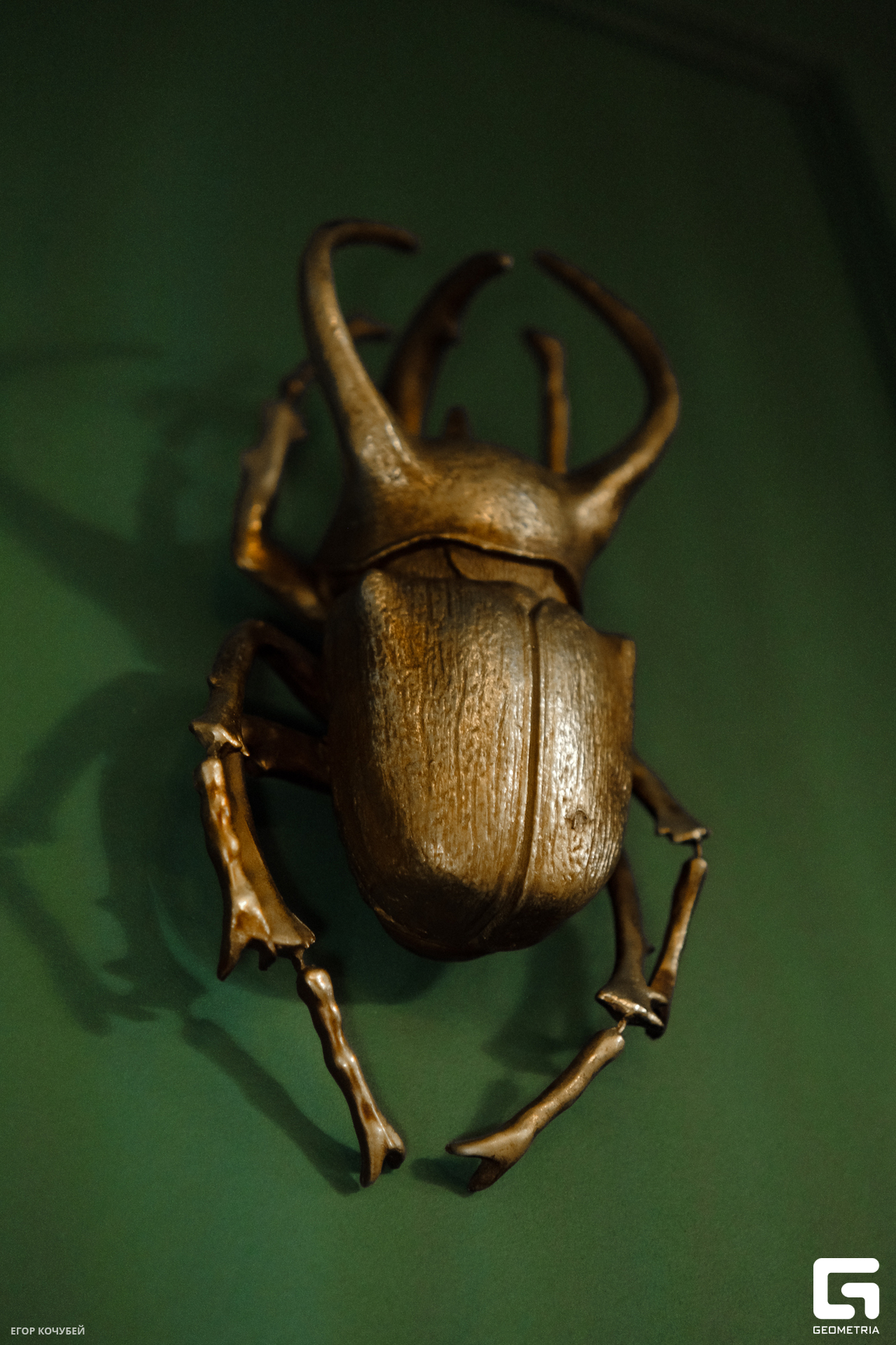 230210 Кочубей 068.jpg