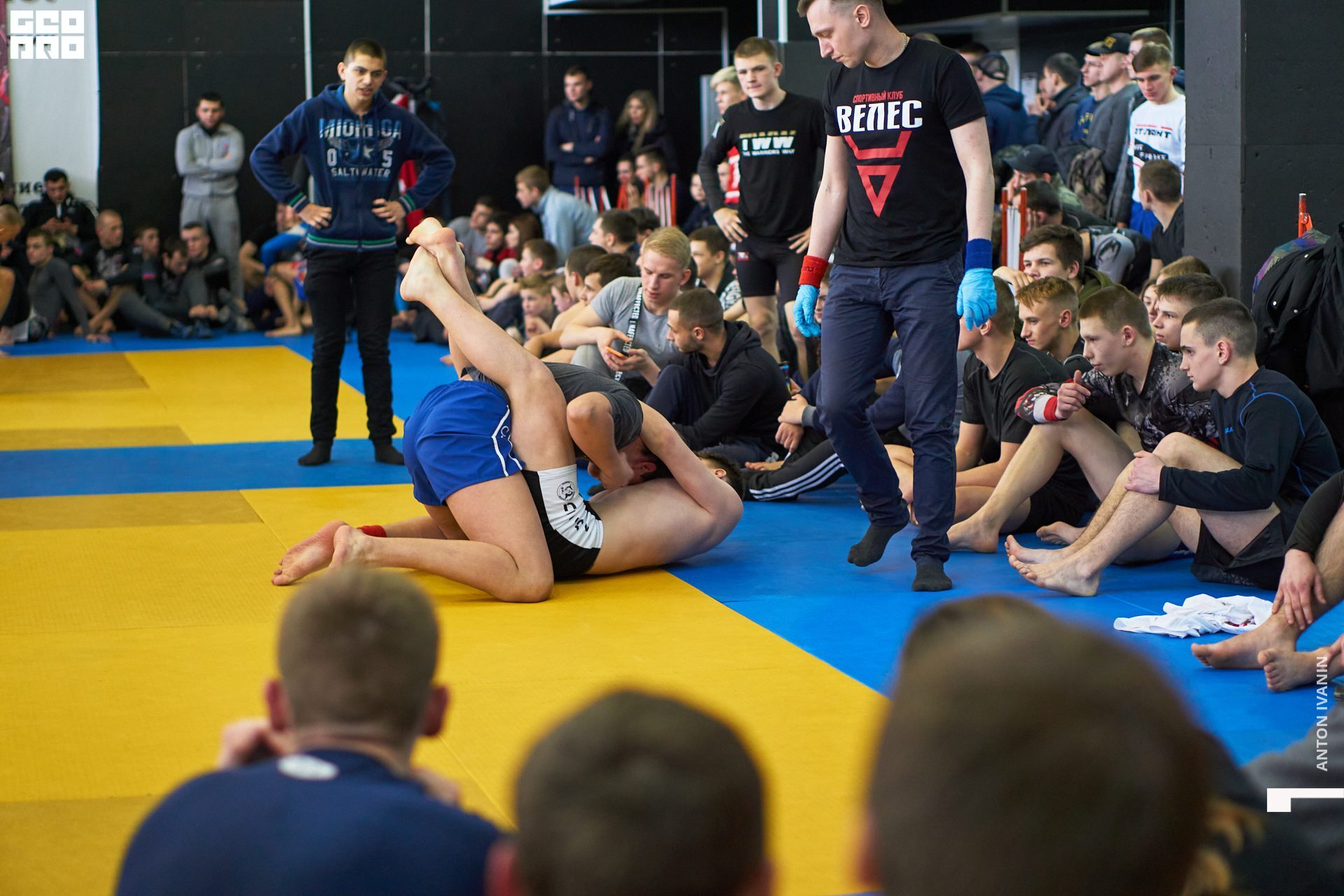 DSC08651 (Копировать).jpg