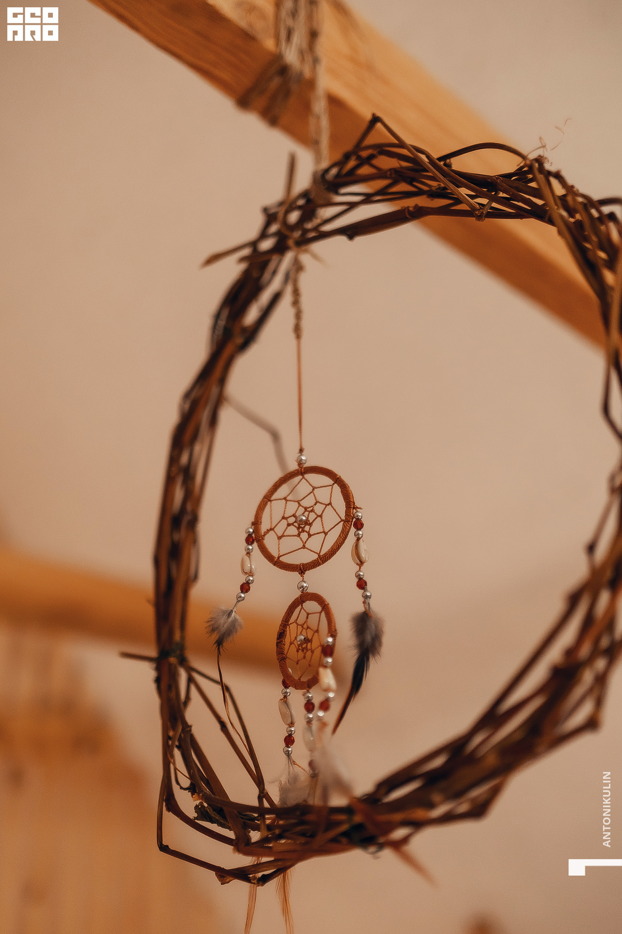 untitled shoot-9421.jpg