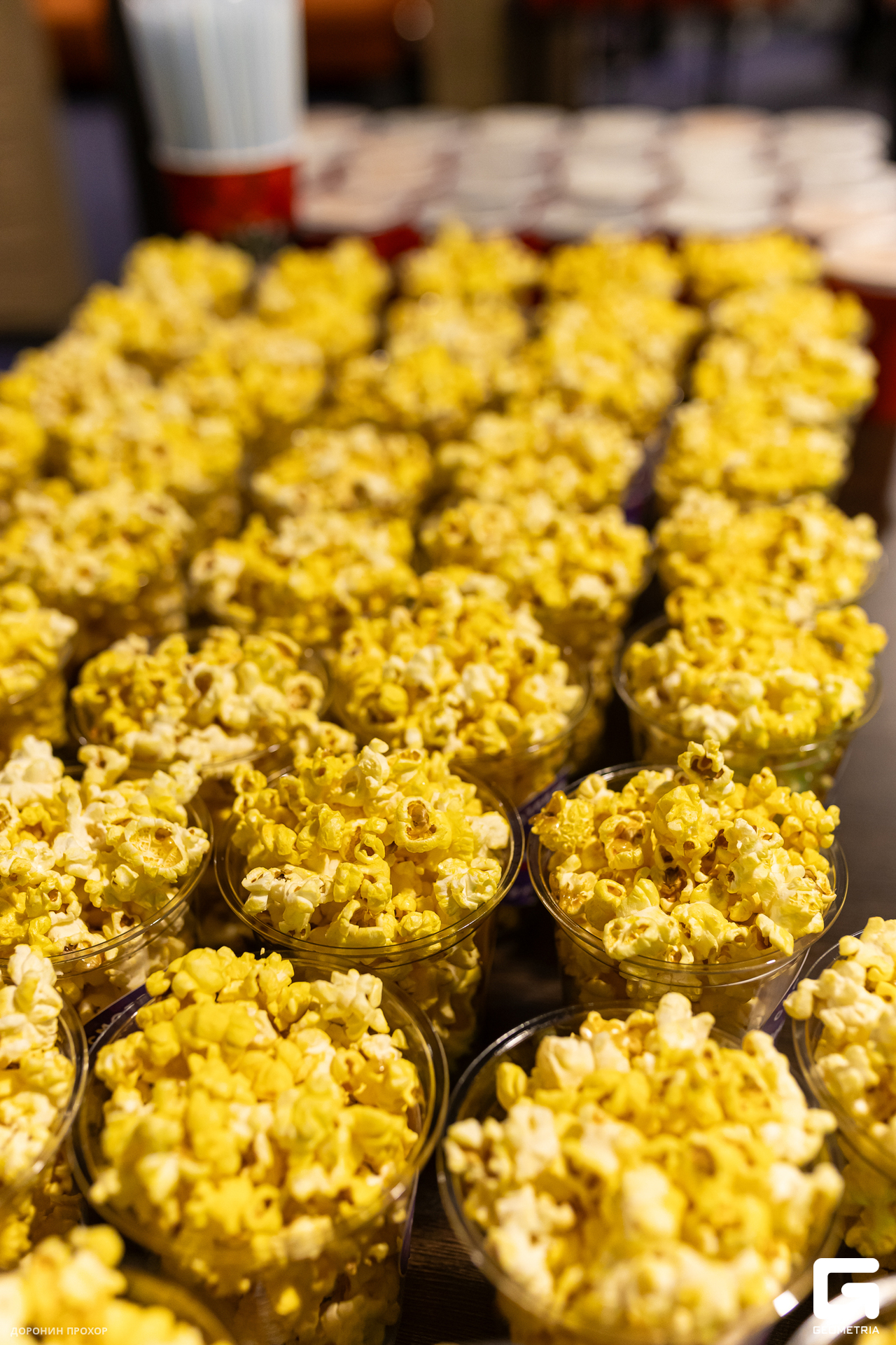 2023.11.23 СТС 012.jpg