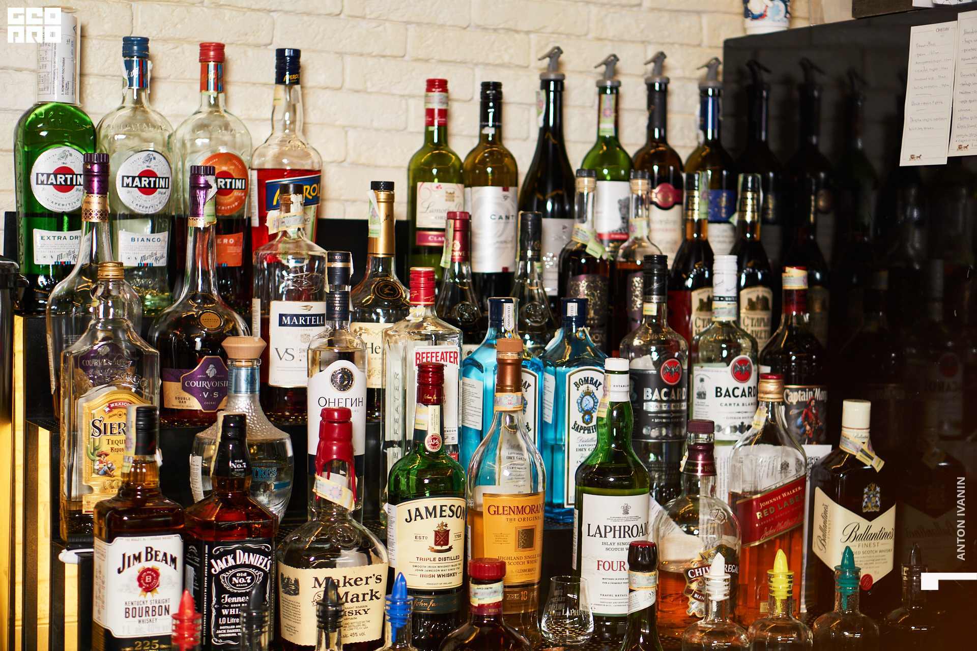 DSC08444 (Копировать).jpg