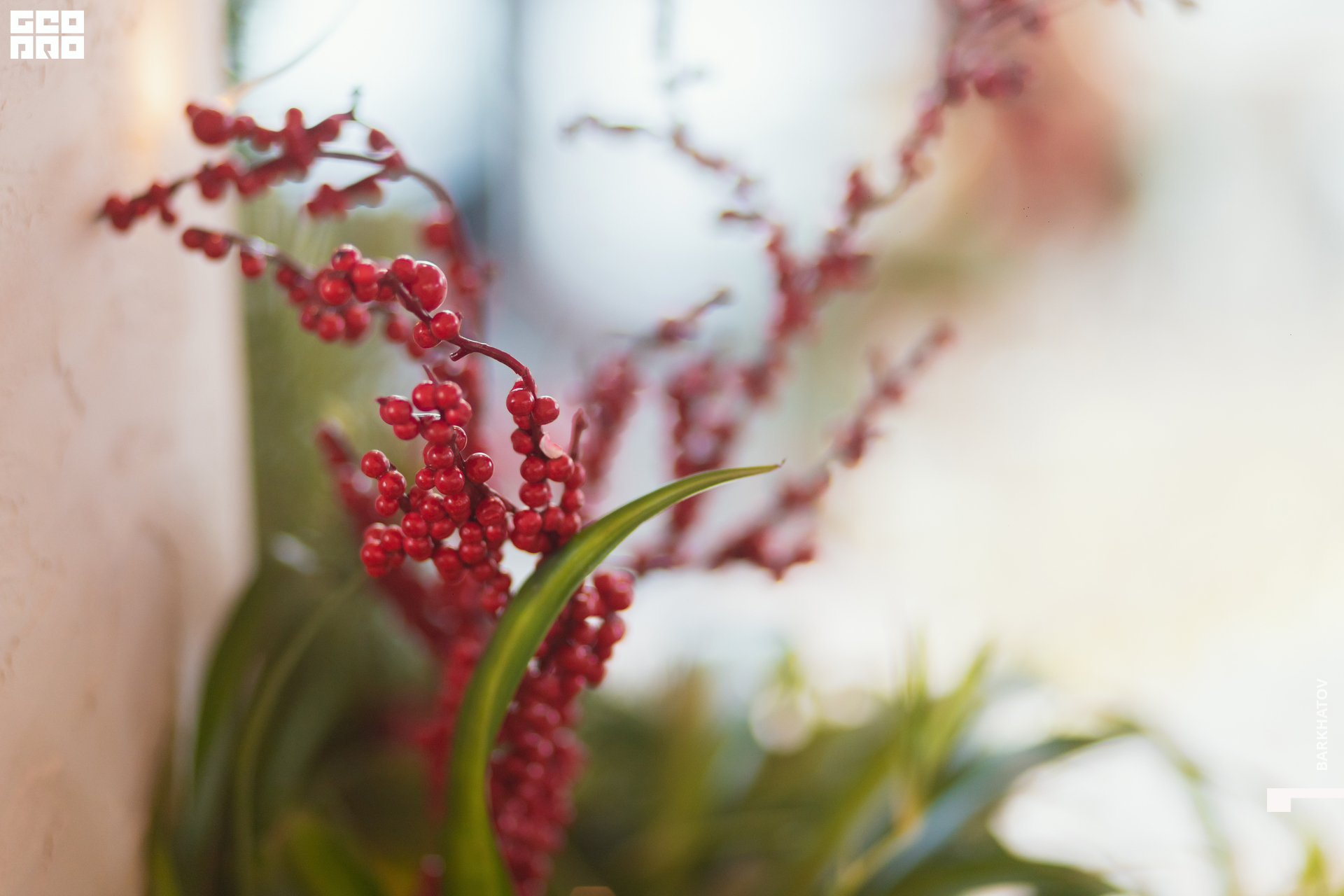 010 (1628) 25.11.22 @mibiyl.jpg