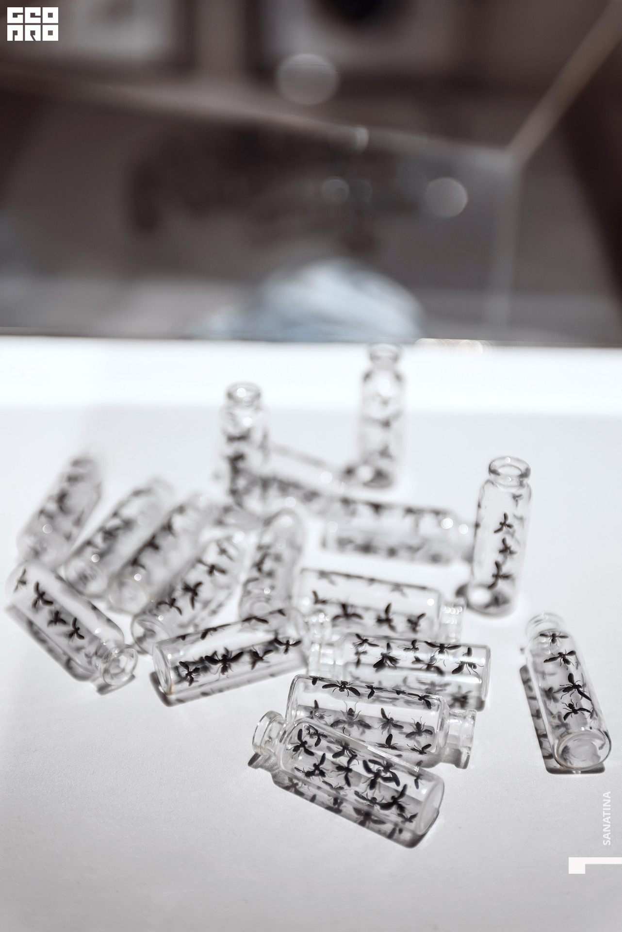 0061_2021-01-28_19-11-28 - Sanatina.jpg