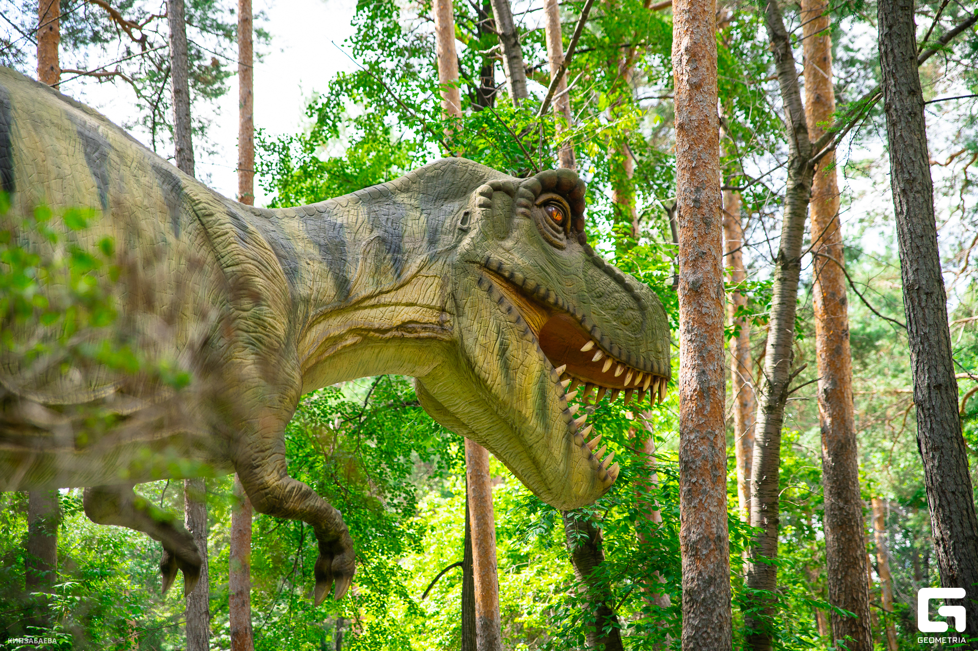 131 - 18-07-24_12-12-32 - Kinzabaeva.jpg