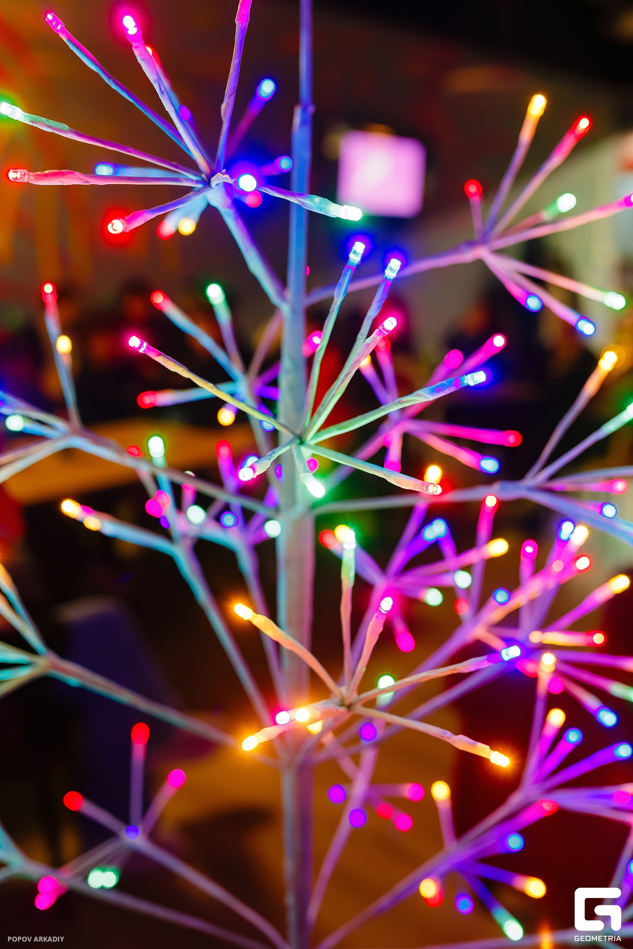 IMG_4662-Улучшено-Ум. шума.jpg