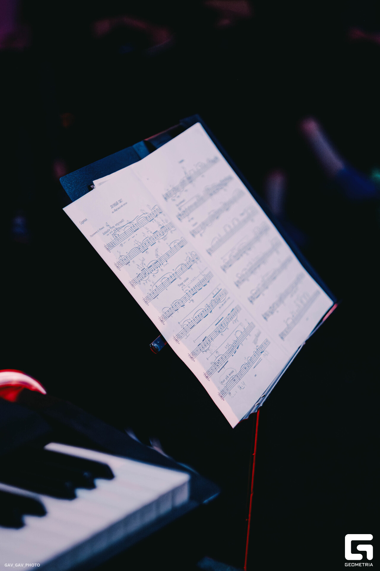 DSCF5669-Улучшено-Ум. шума.jpg