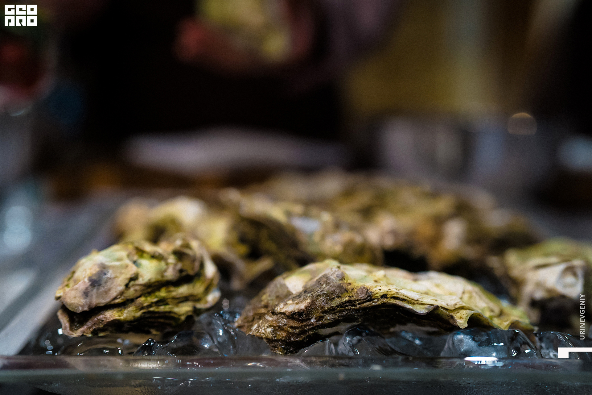 23.04.2021. Каре (20).jpg