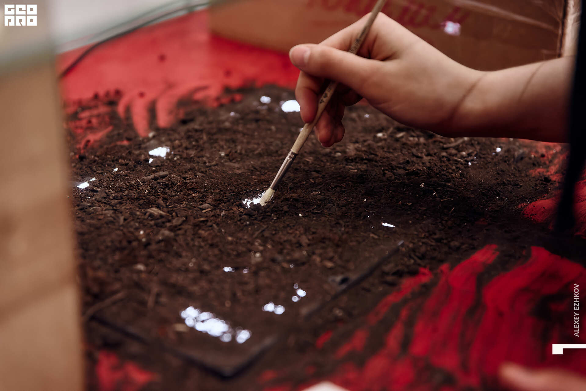 Арсенал 21.jpg