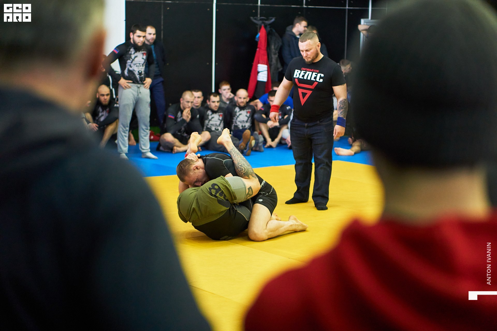 DSC08755 (Копировать).jpg