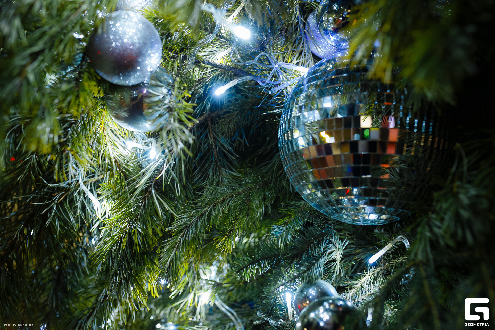 IMG_8533-Улучшено-Ум. шума.jpg