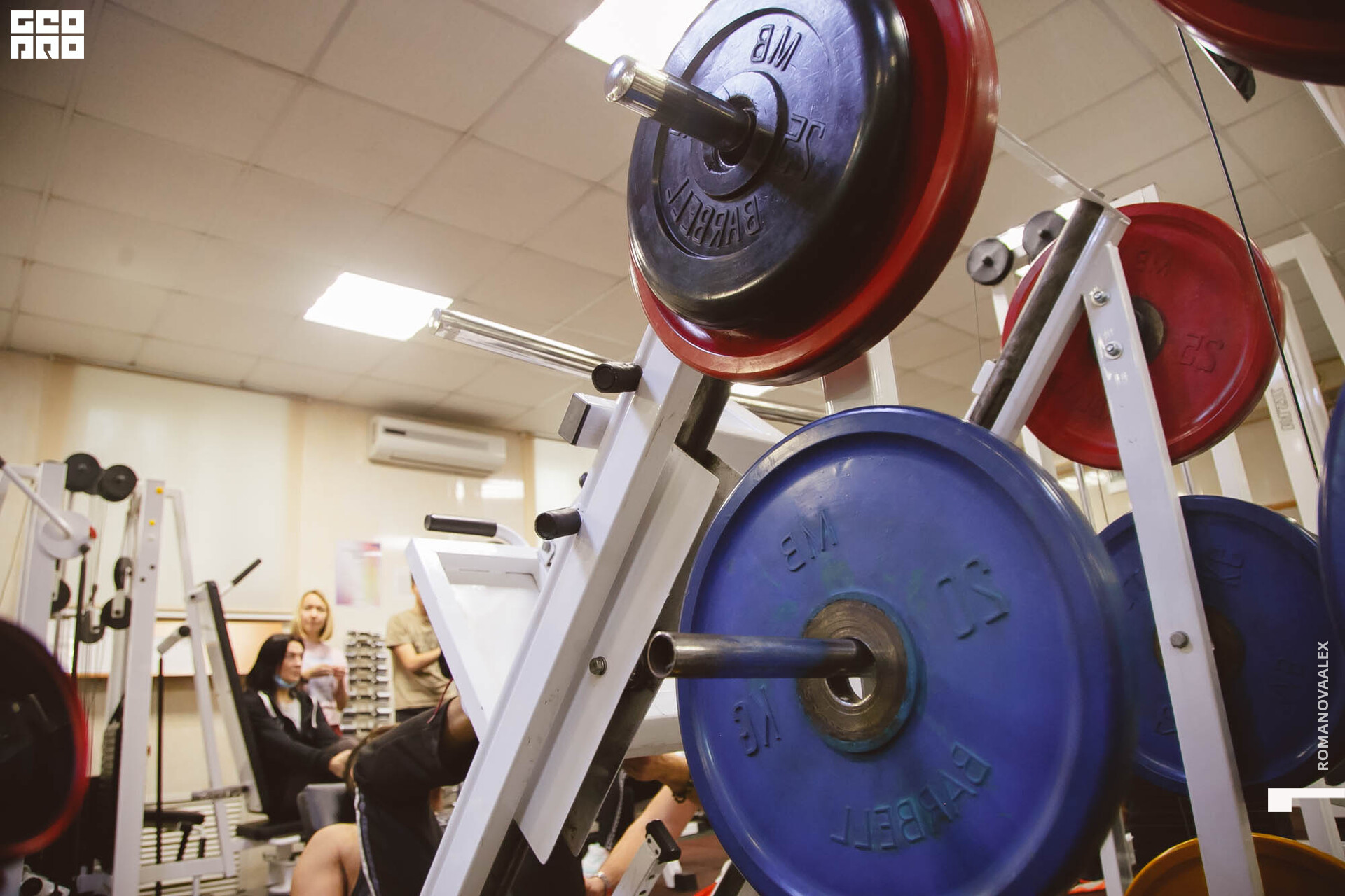 269 211127  113246 _ale_romanova.jpg