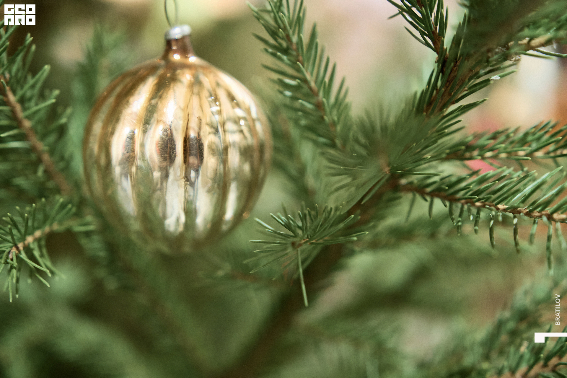 00137 - 2022-12-16 21.16.15 - Bratilov.jpg