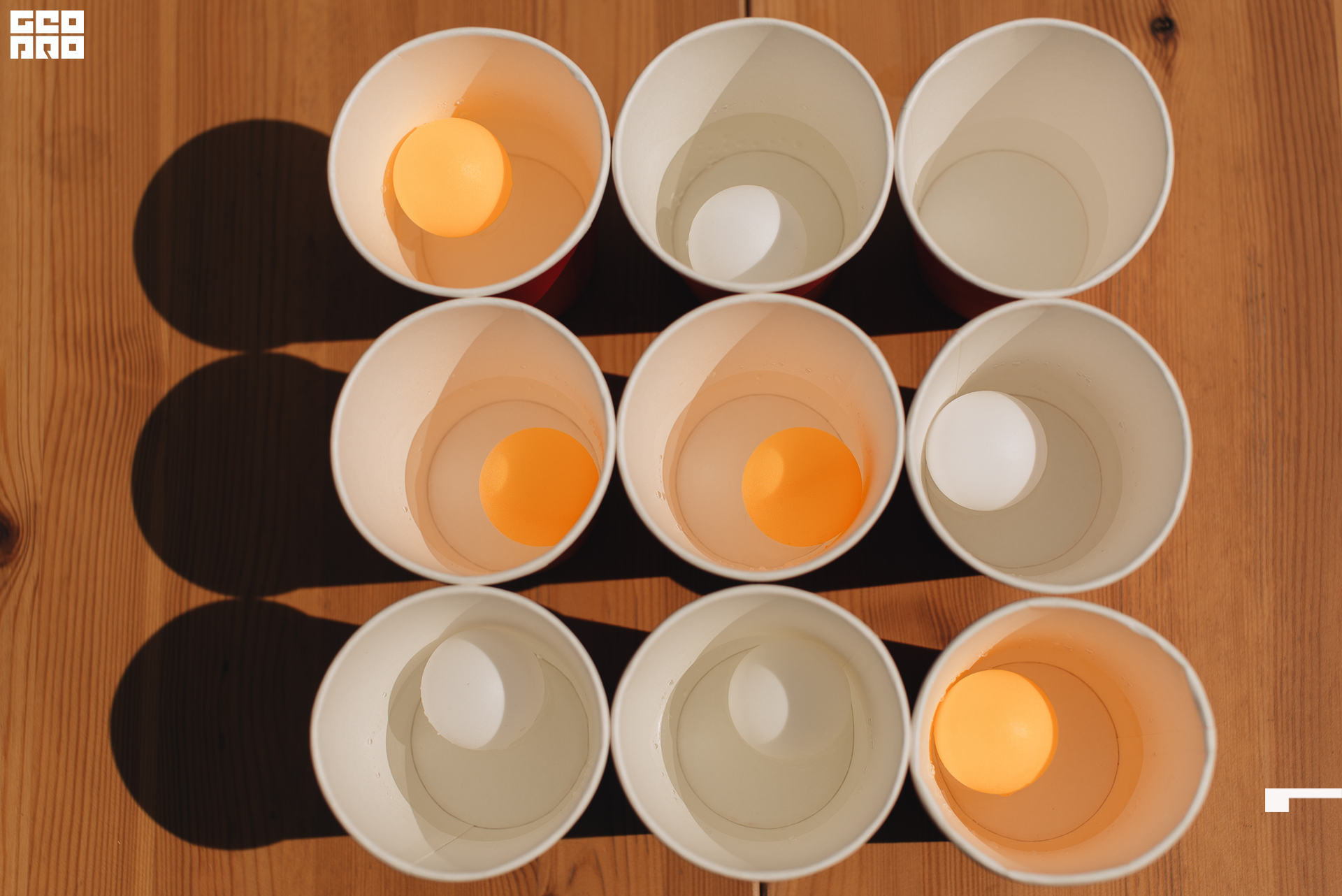 240  06182022  151243 .jpg