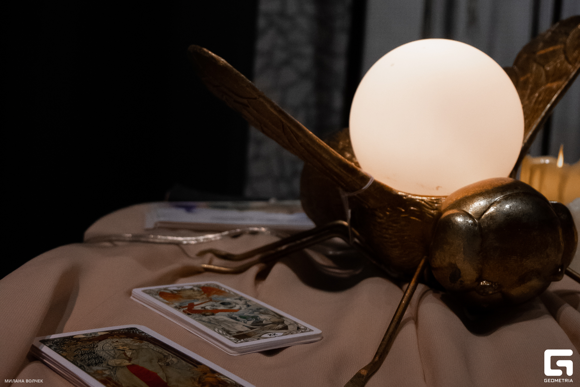 177_20231111 Волчек.jpg