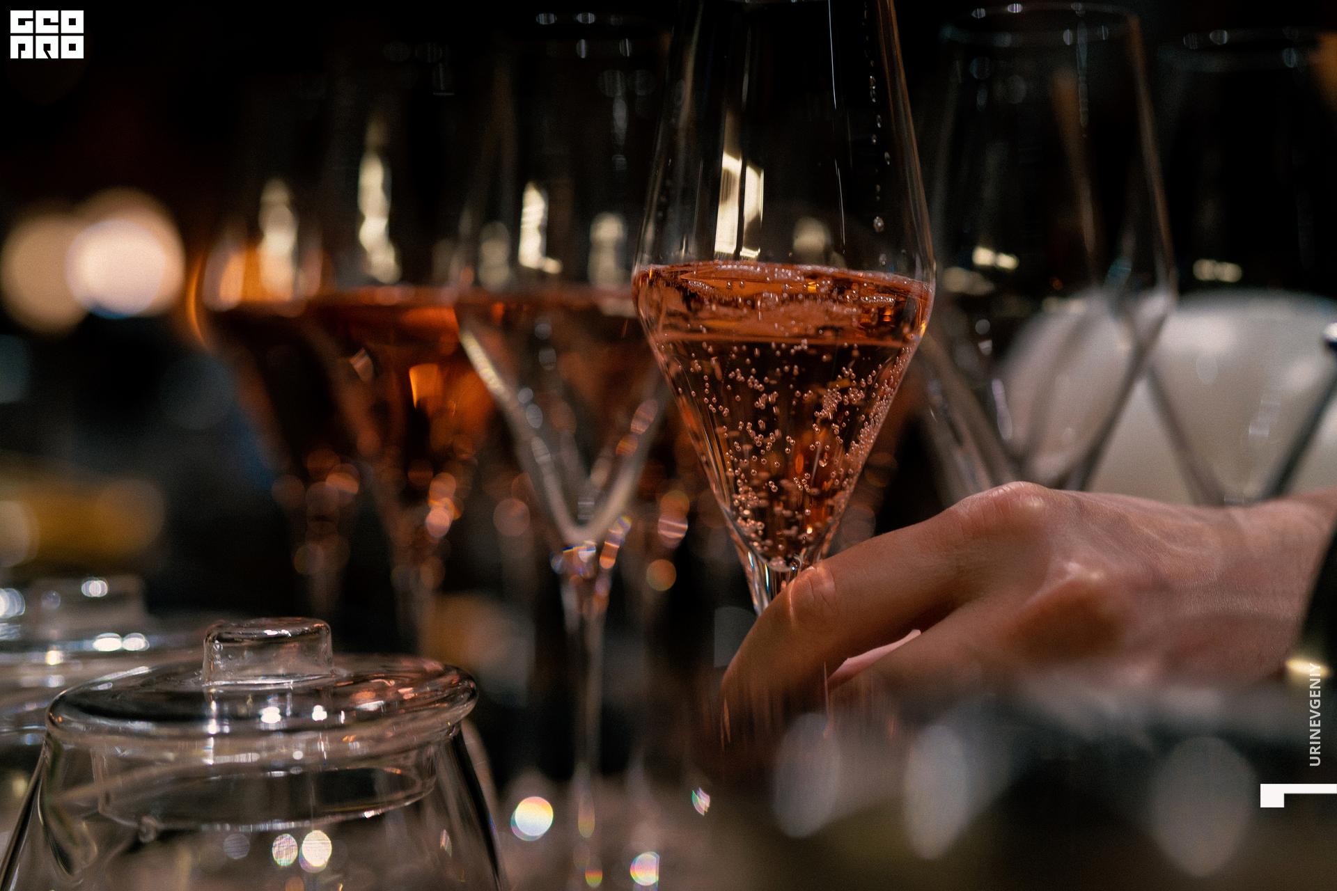 14.02.2022. Балерина и Бифштекс (12).jpg