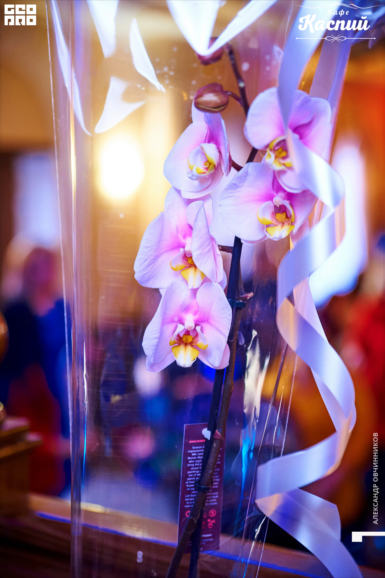 Фото 091 копия.jpg