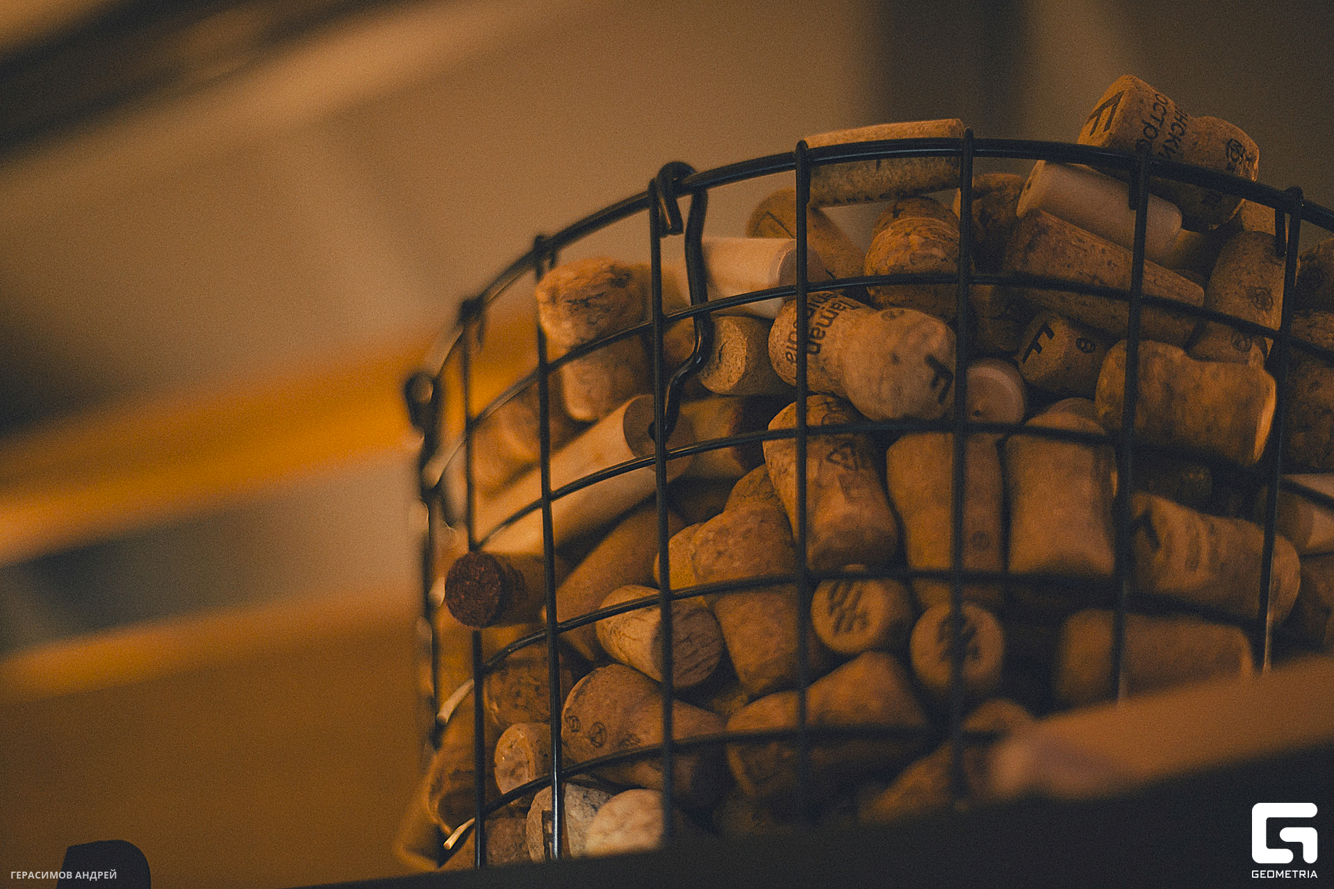 027 Свиристели 17. 02.jpg