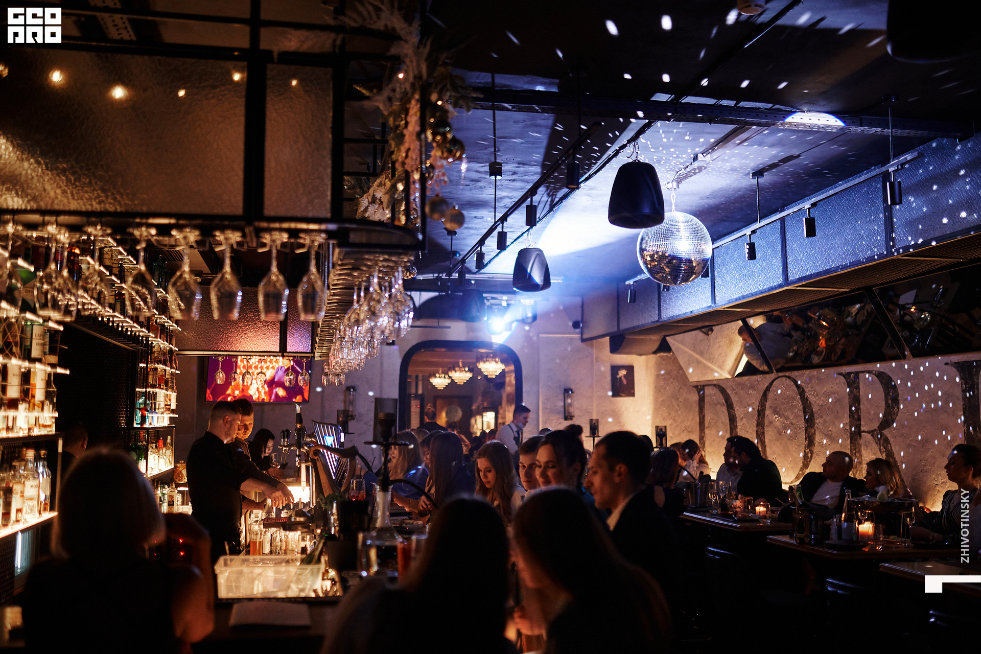 011_31-12-21_11-46 _Zhivotinsky.jpg