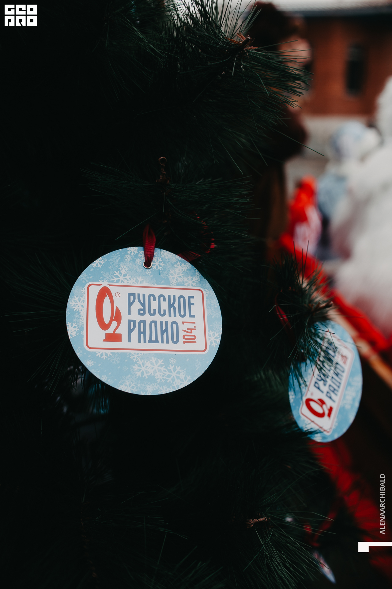 2021-11-27 14-00-42_alenaarchibald051.JPG