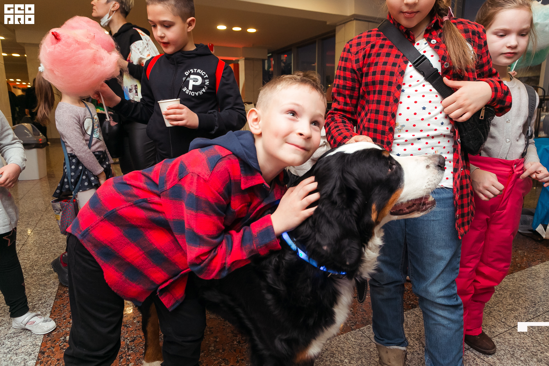 193-20211211-23-11.12.21 - Ёлки.jpg