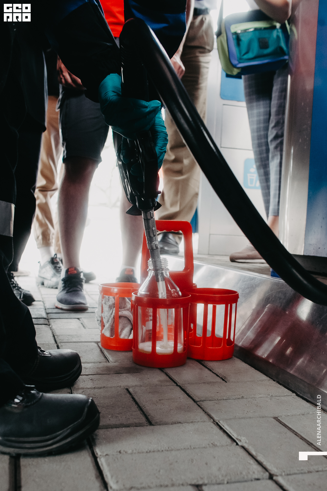 2021-06-26 16-09-31_alenaarchibald.JPG