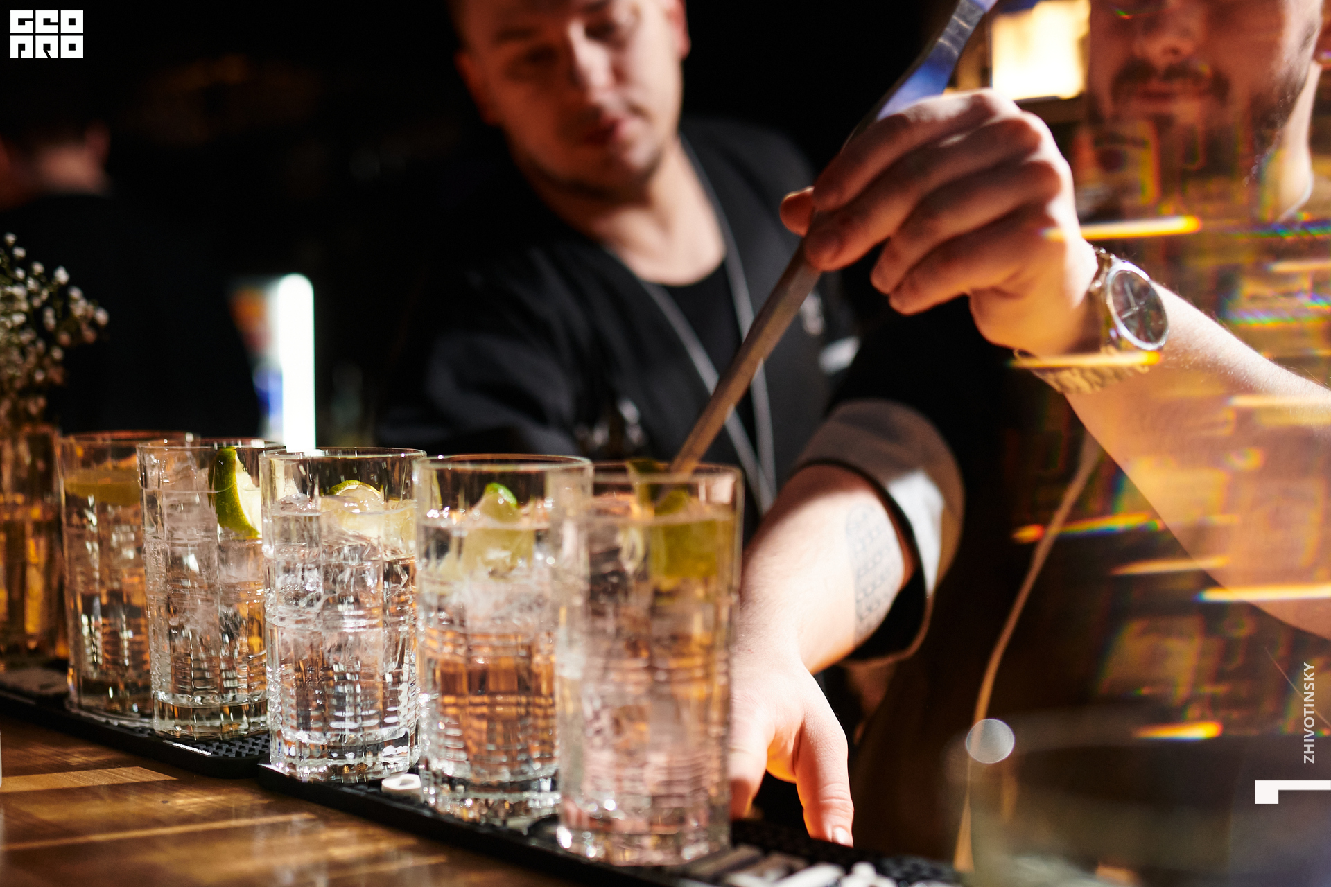 049_08-03-22_1-23 _Zhivotinsky.jpg