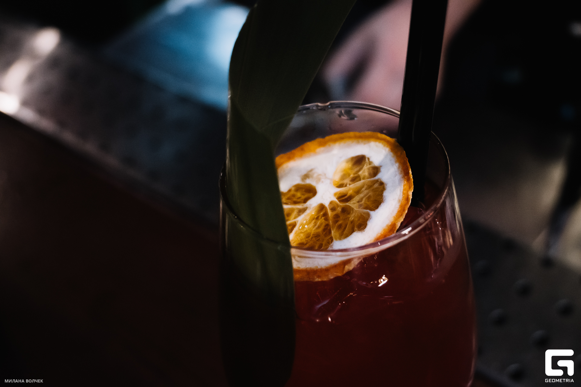 006_20231124 Волчек.jpg