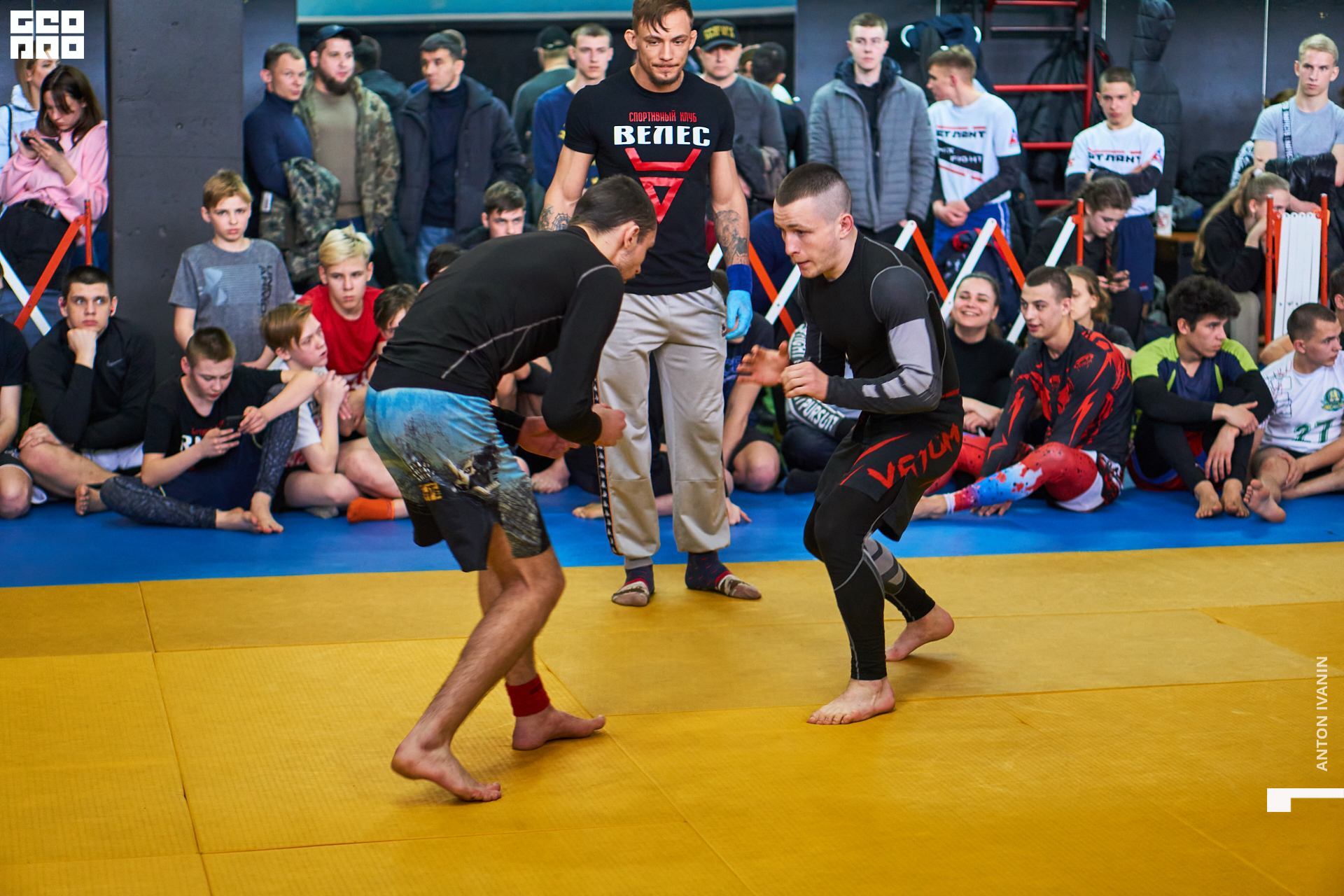 DSC08584 (Копировать).jpg