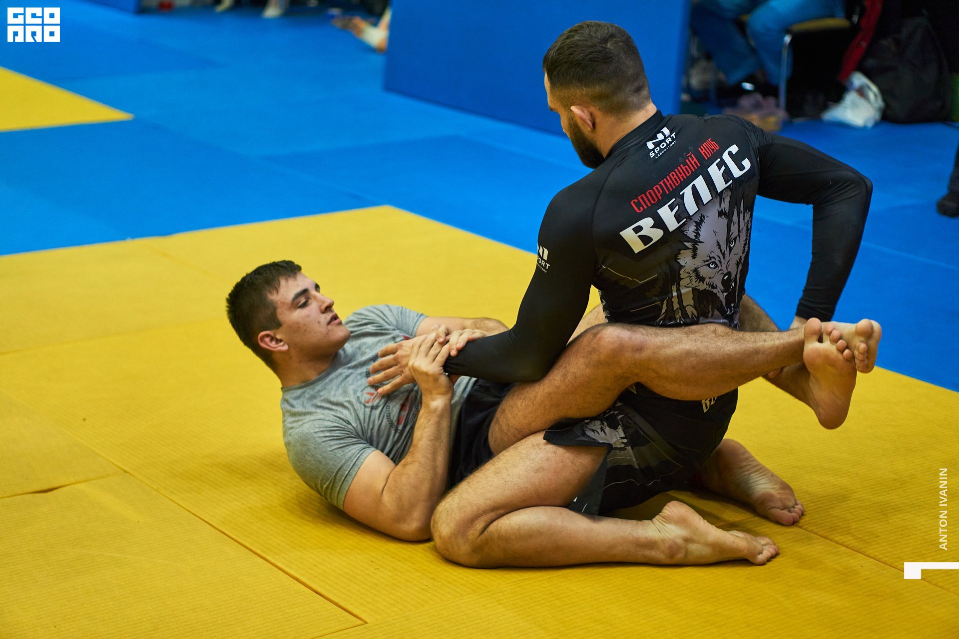 DSC09654 (Копировать).jpg