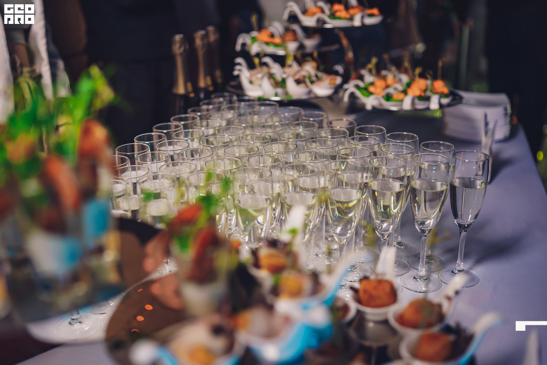 GVOZDEV PHOTO-56.jpg