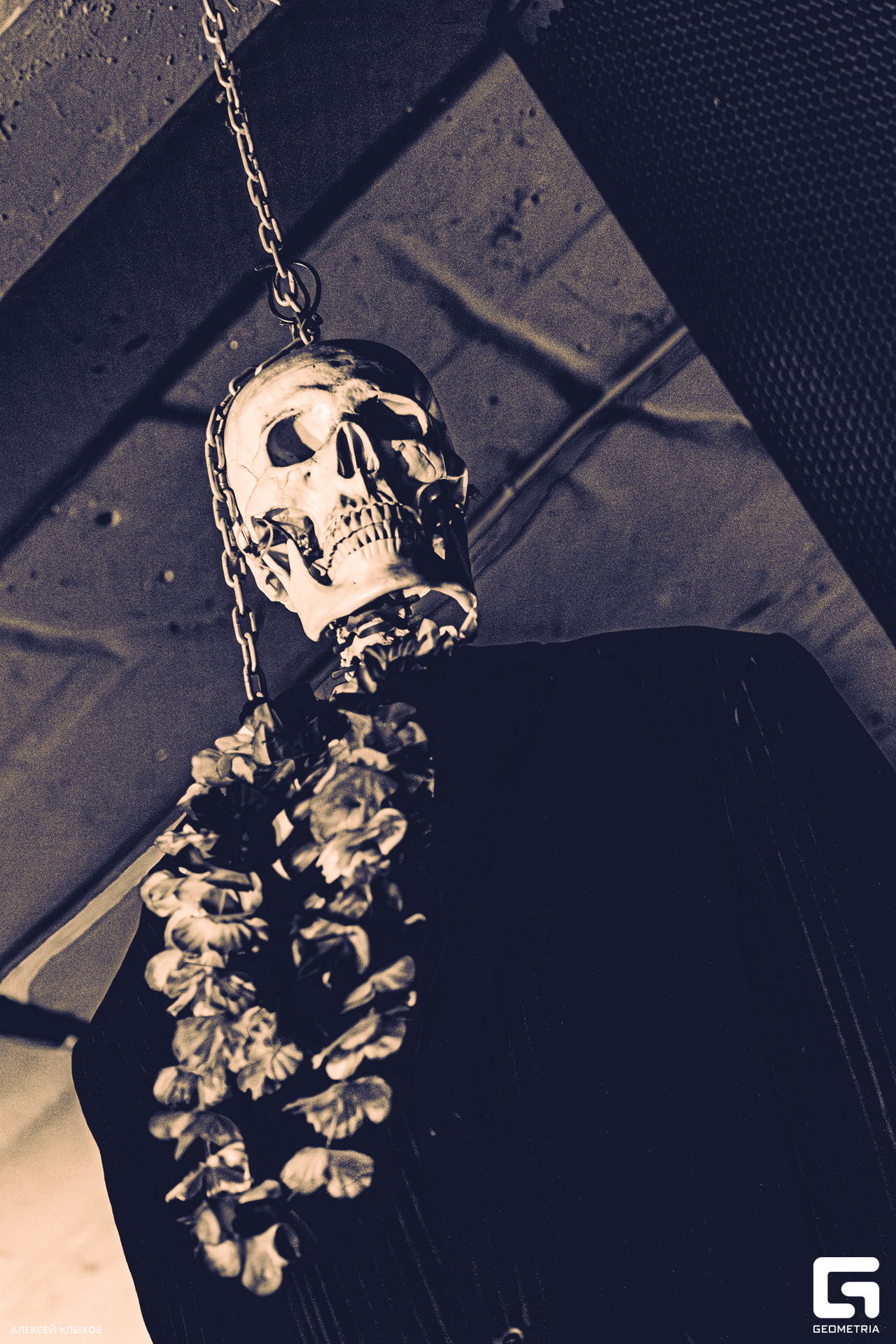 OTF_9147-Улучшено-Ум. шума.jpg