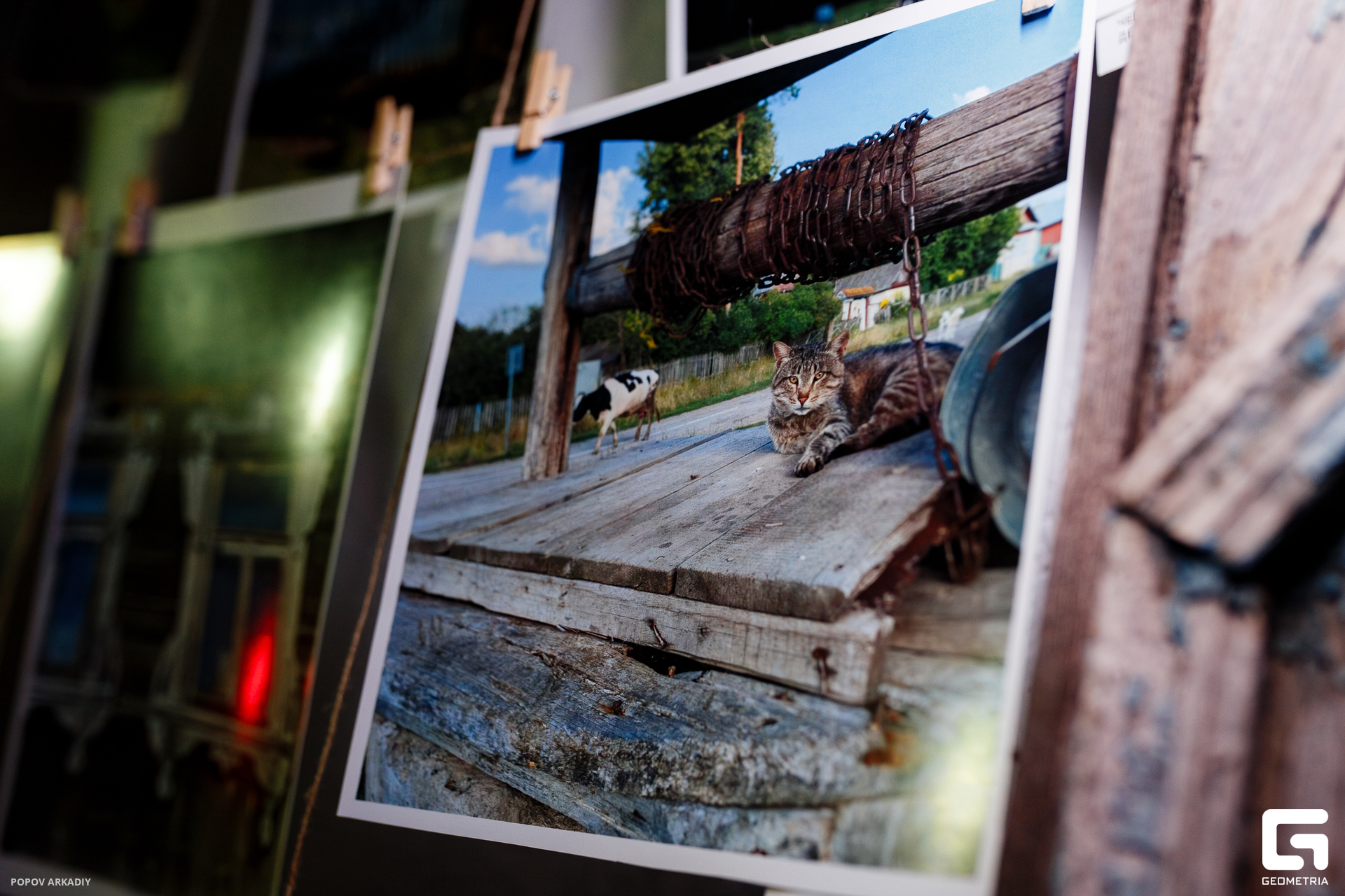 IMG_4523-Улучшено-Ум. шума.jpg