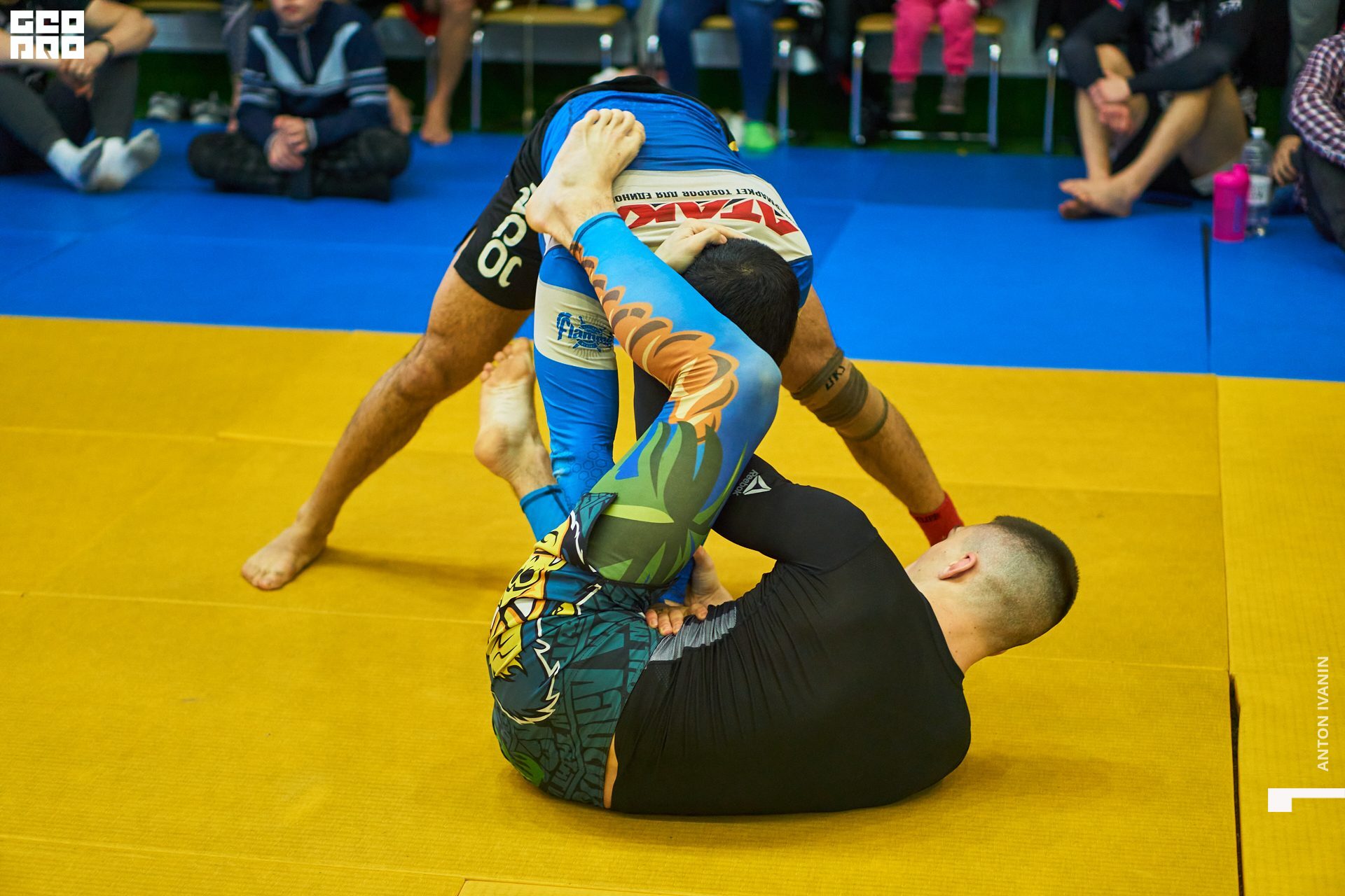 DSC09519 (Копировать).jpg