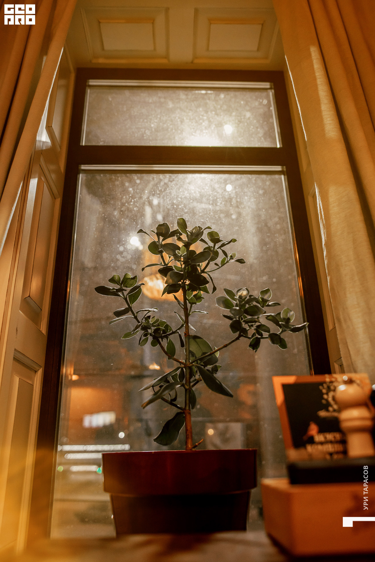 00012_220211_211857_inst (Uri_Tarasov).jpg