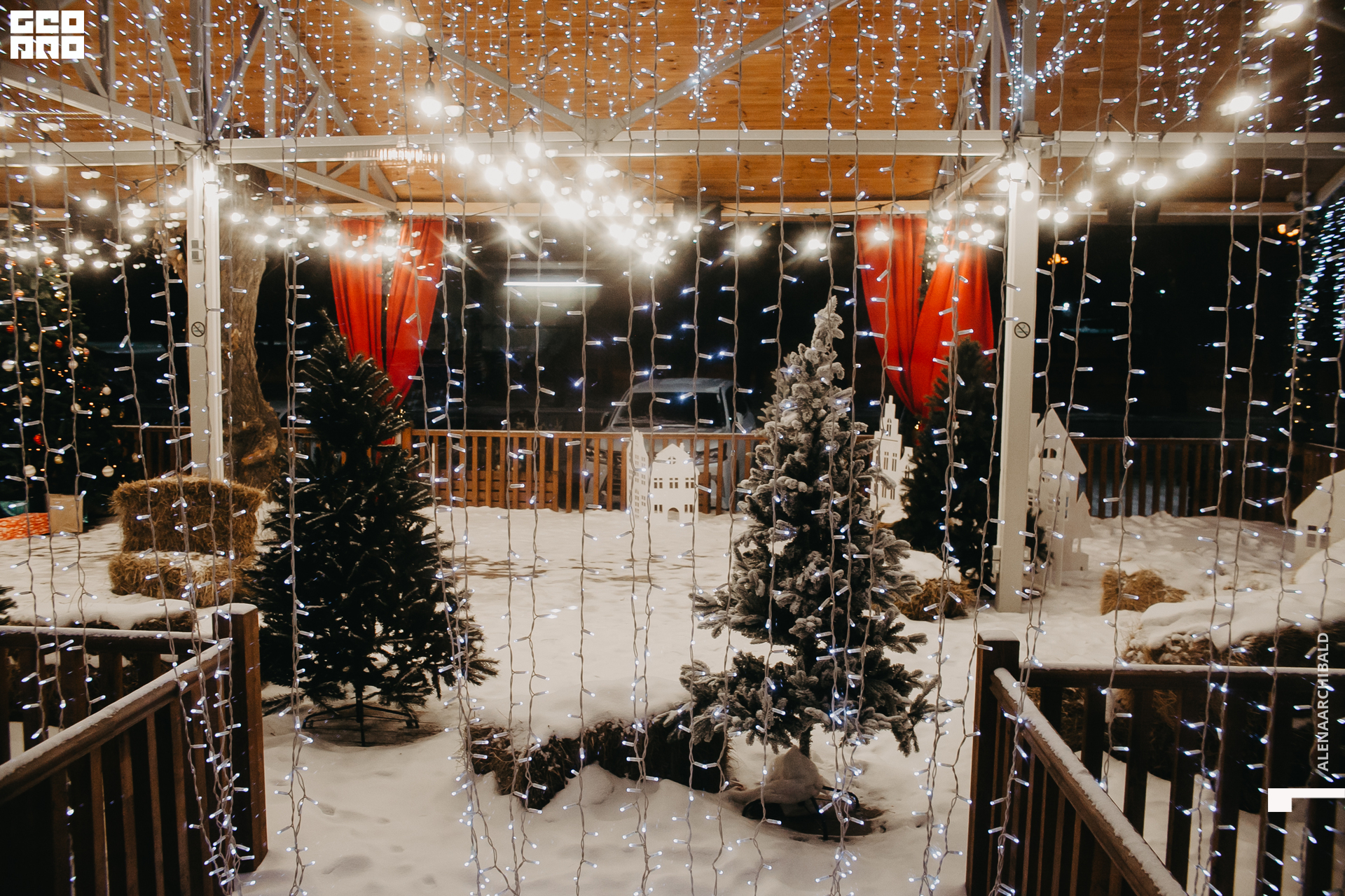 2021-02-20 22-30-09_alenaarchibald_045.JPG