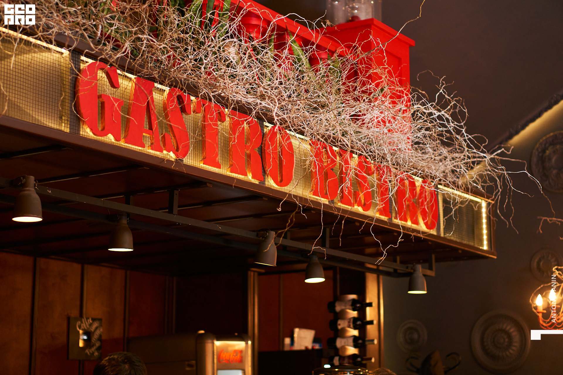 DSC08573 (Копировать).jpg