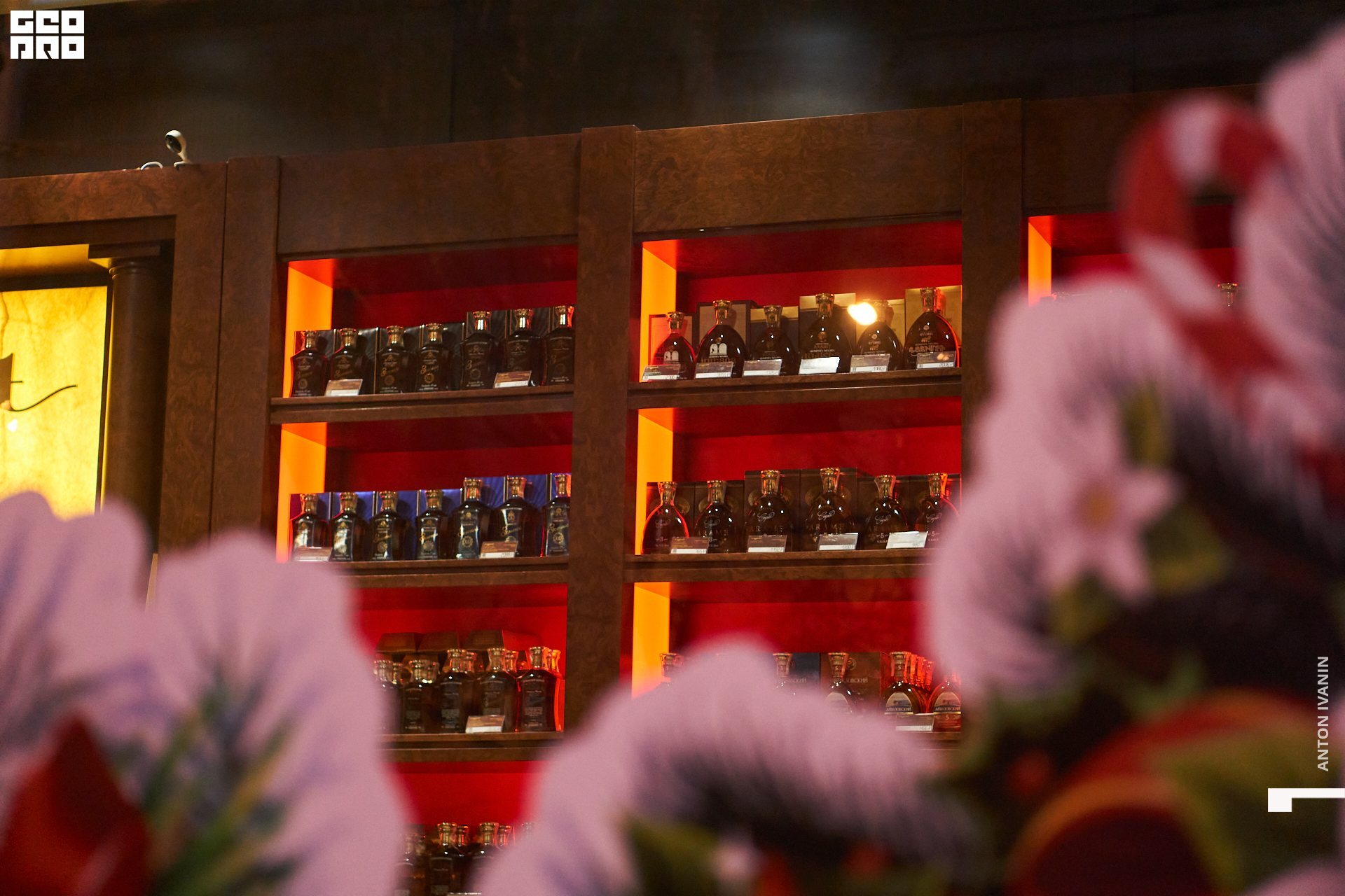 DSC08646 (Копировать).jpg